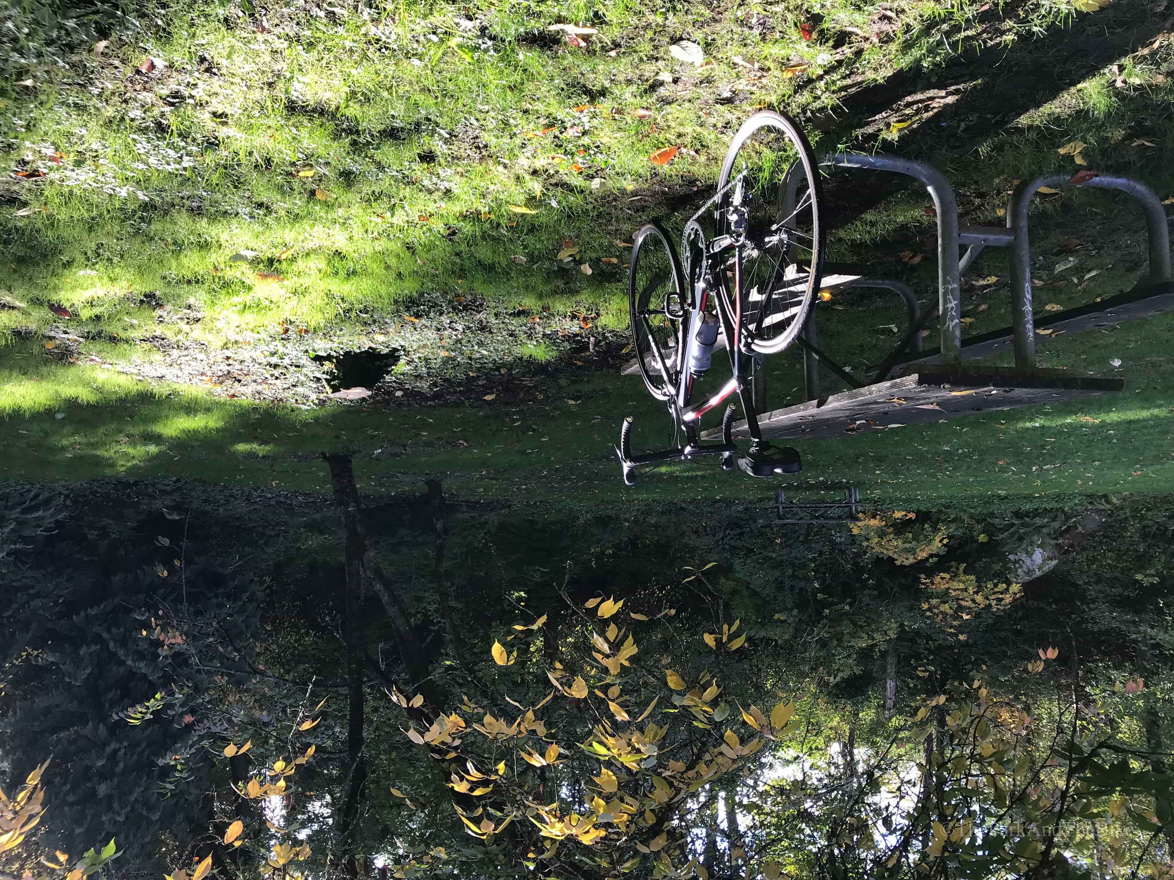 image of Washington Park Playfield