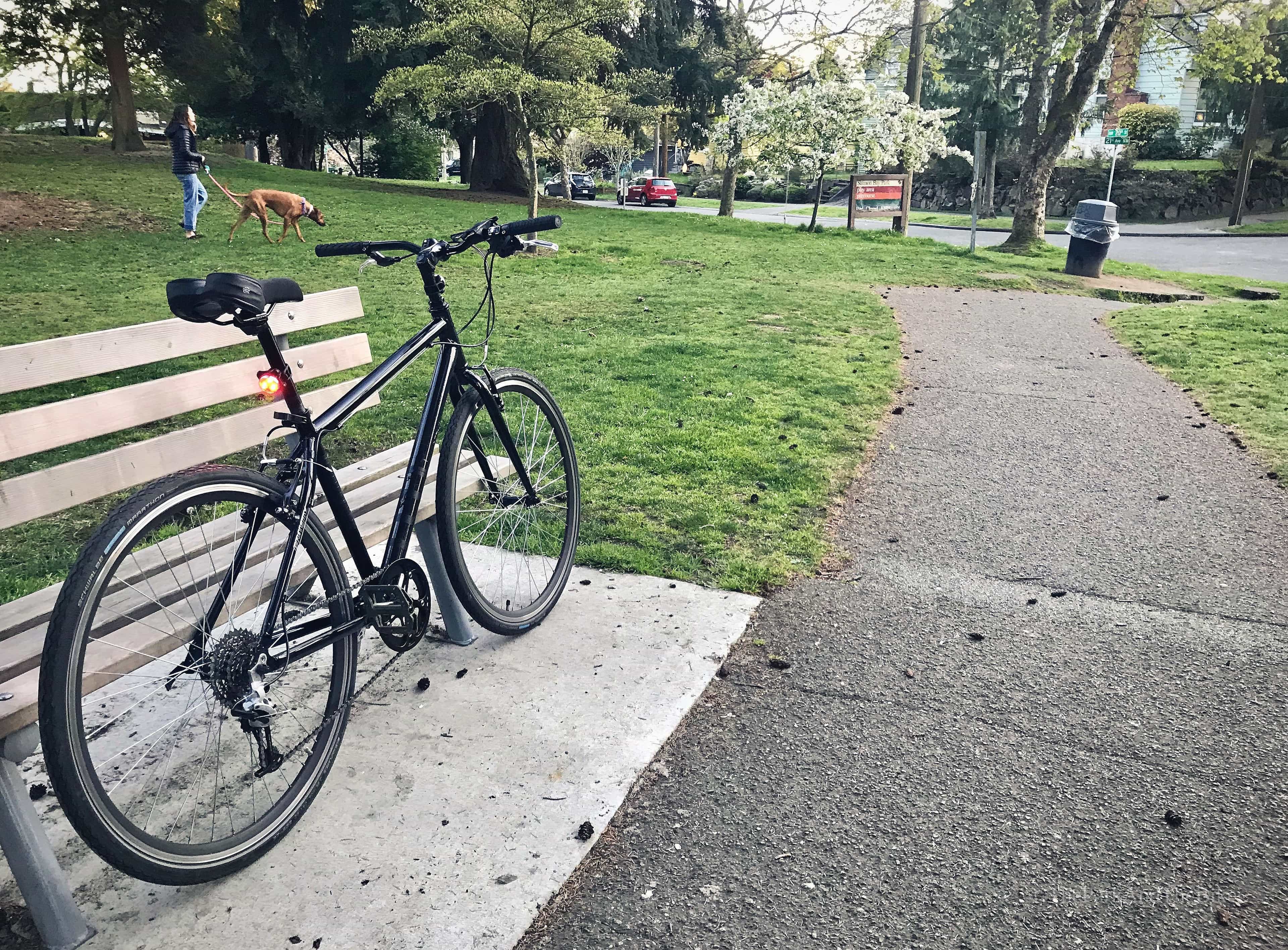 image of Salmon Bay Park