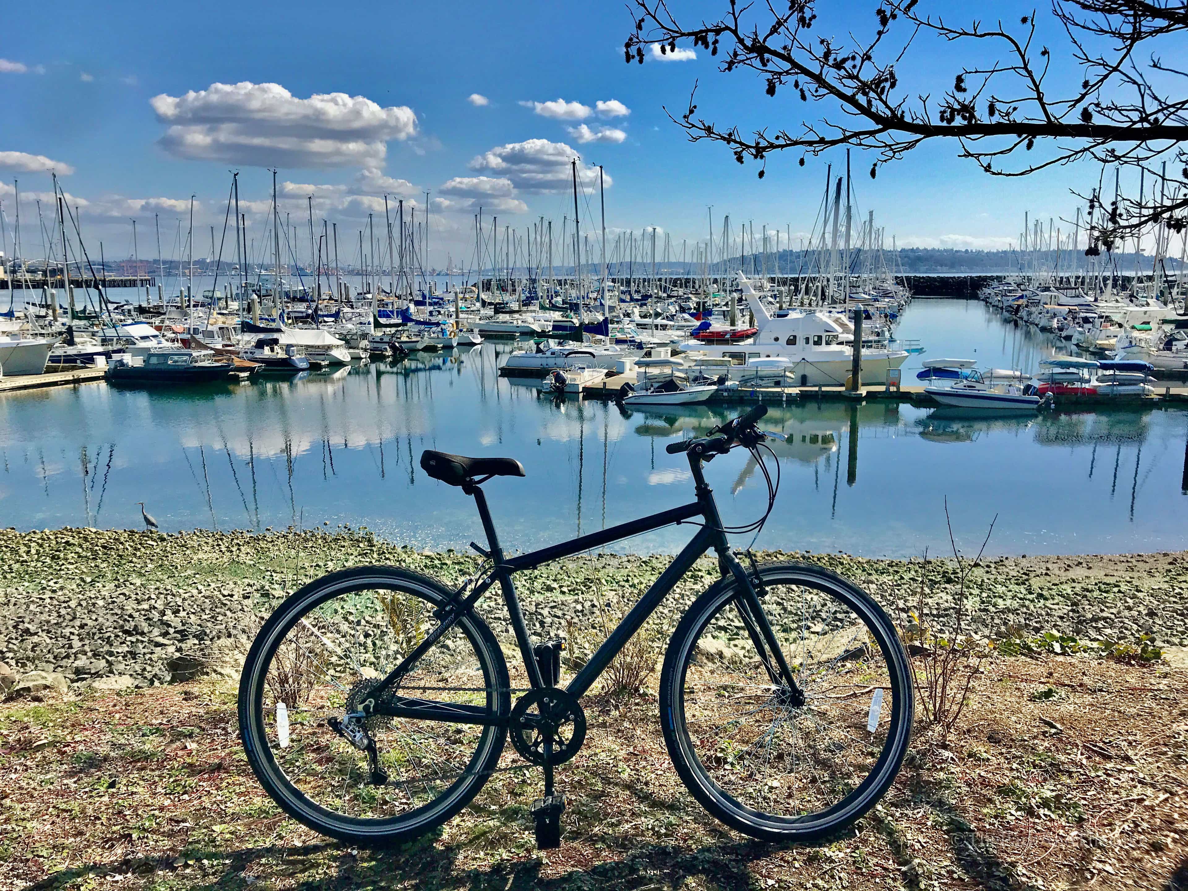 image of Magnolia Tidelands Park