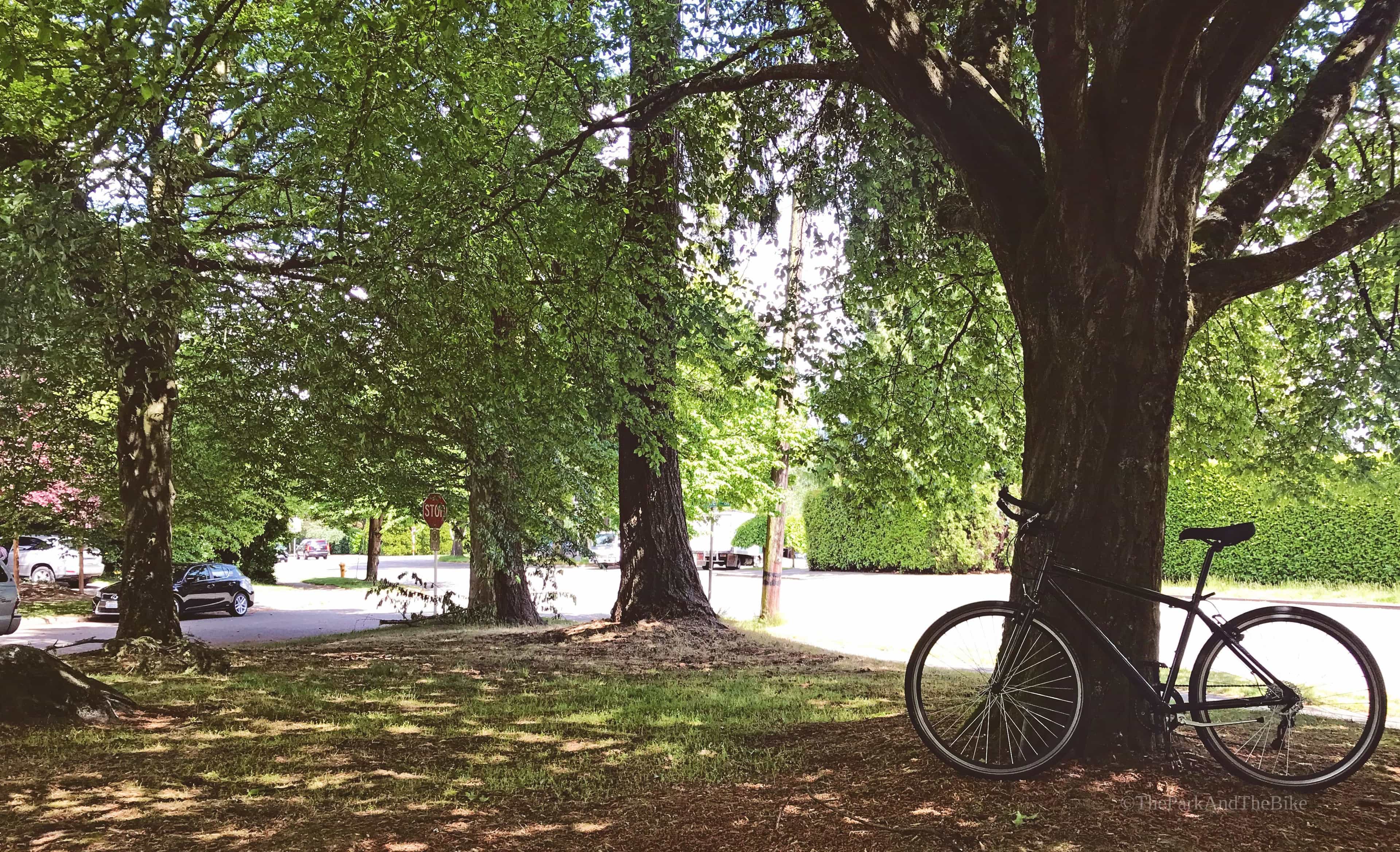 image of Lambert Place