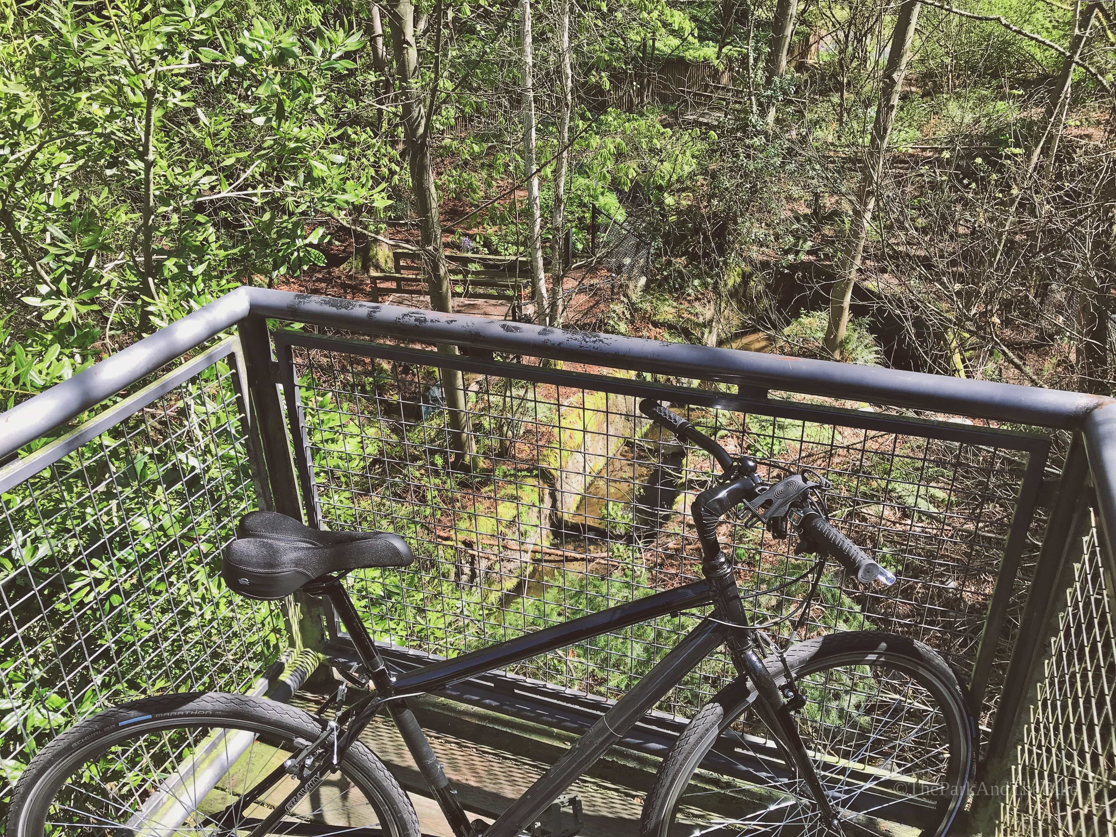 image of Fauntleroy Creek Ravine