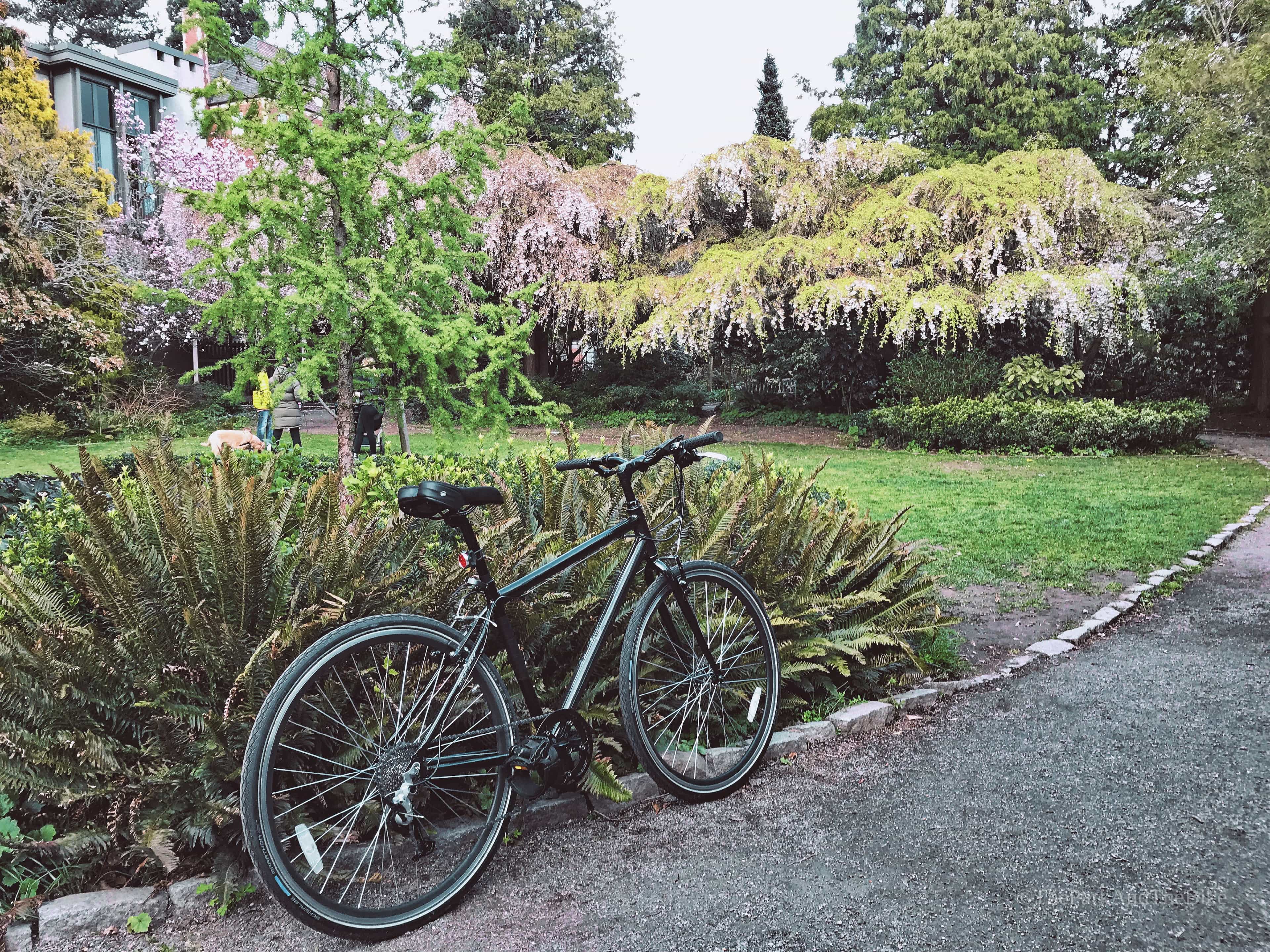 image of Parsons Gardens