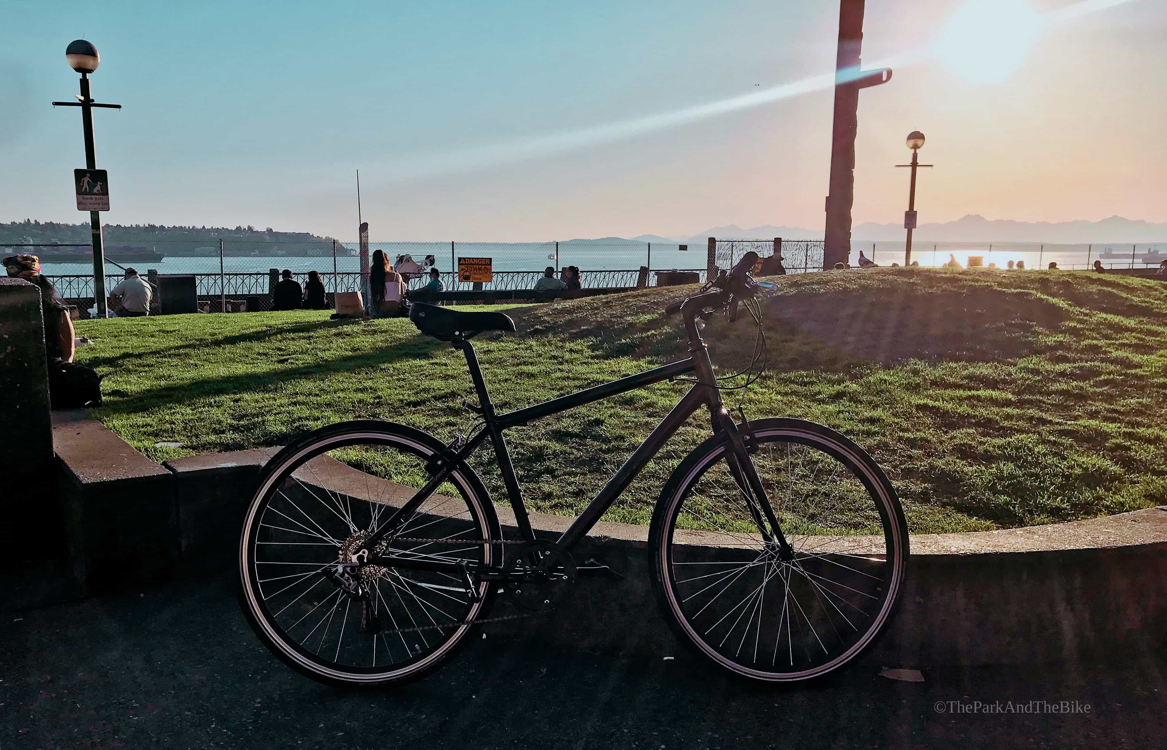 image of Victor Steinbrueck Park