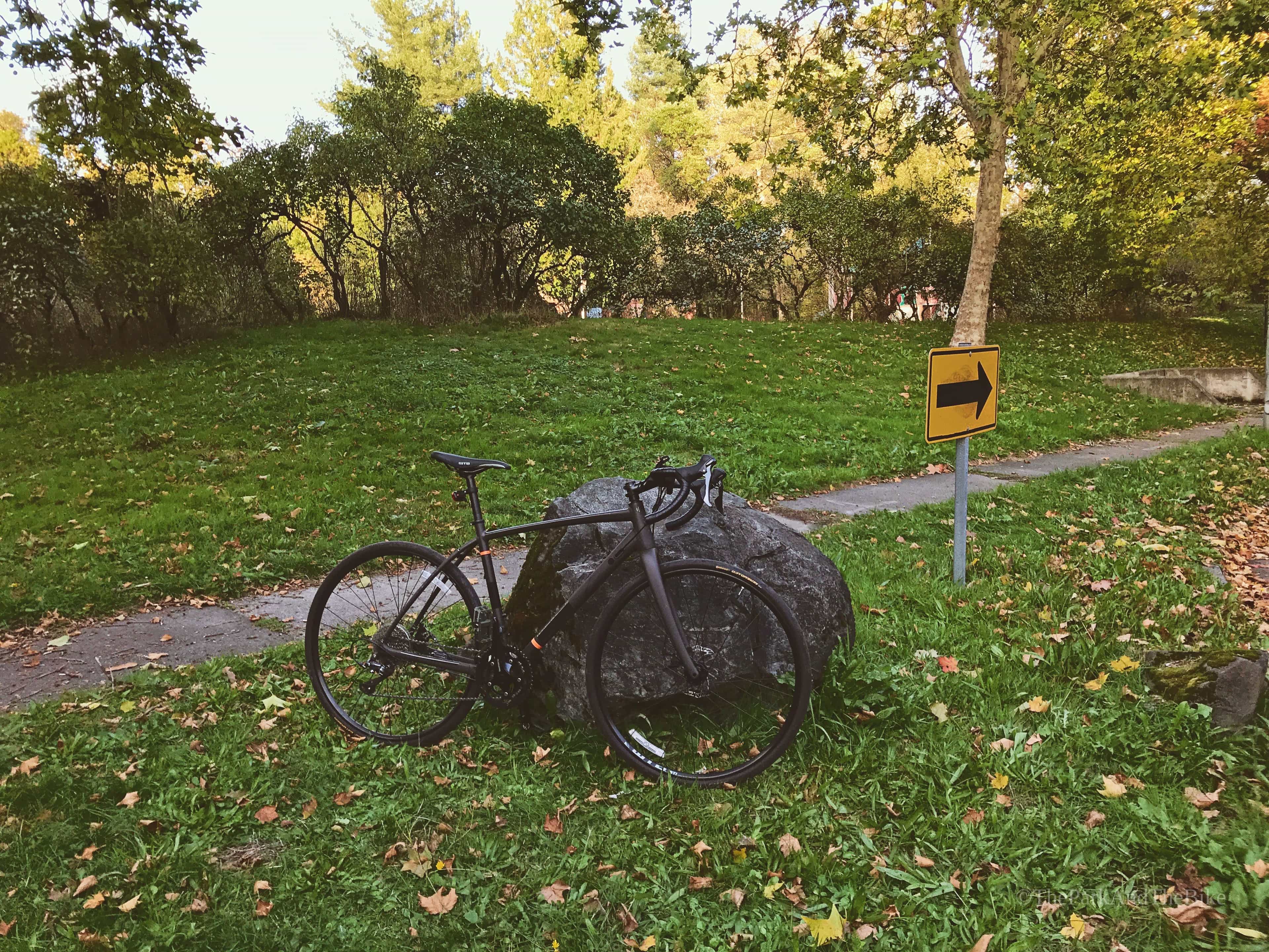 image of Peppi's Playground