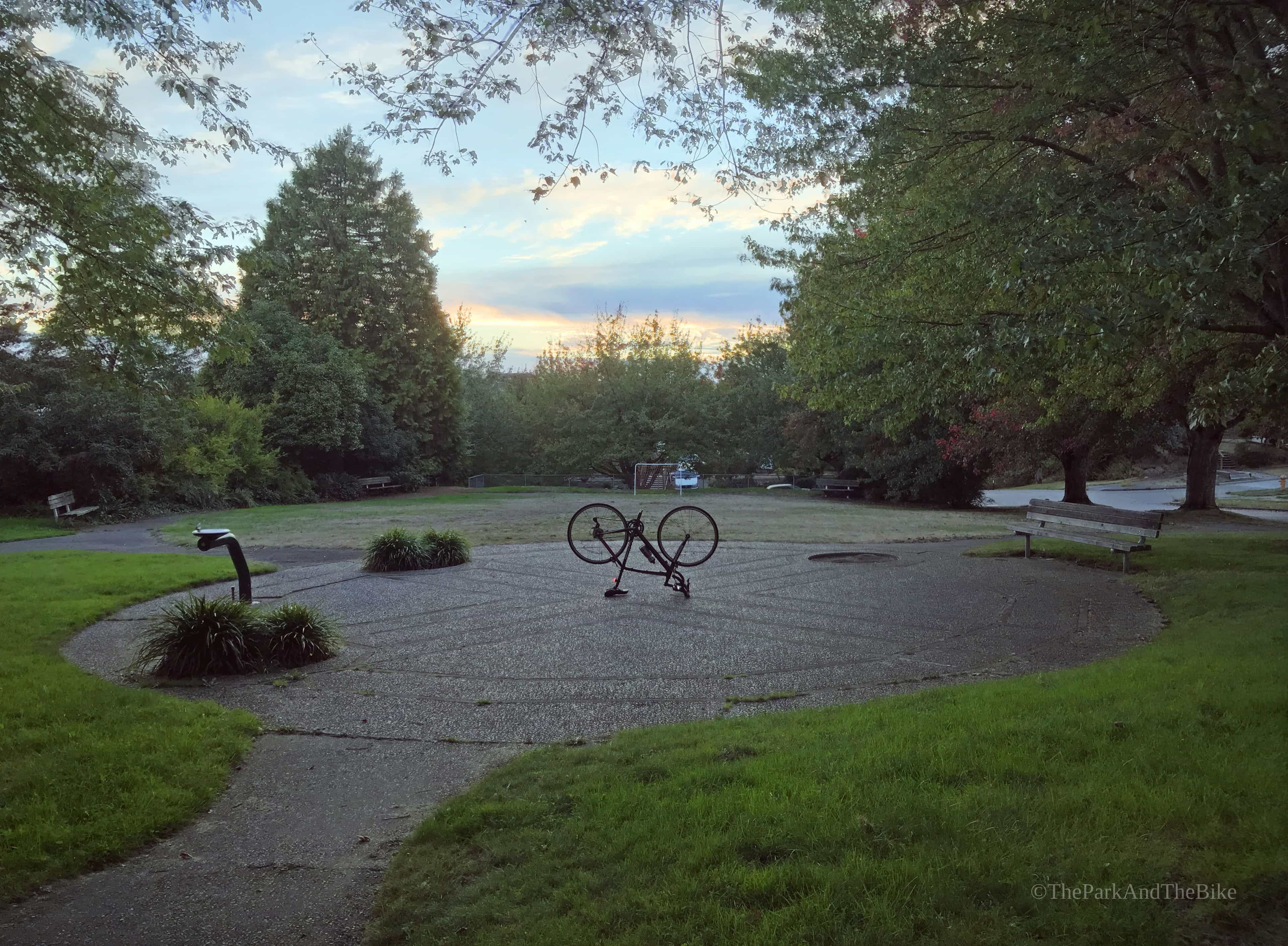 image of College Street Park