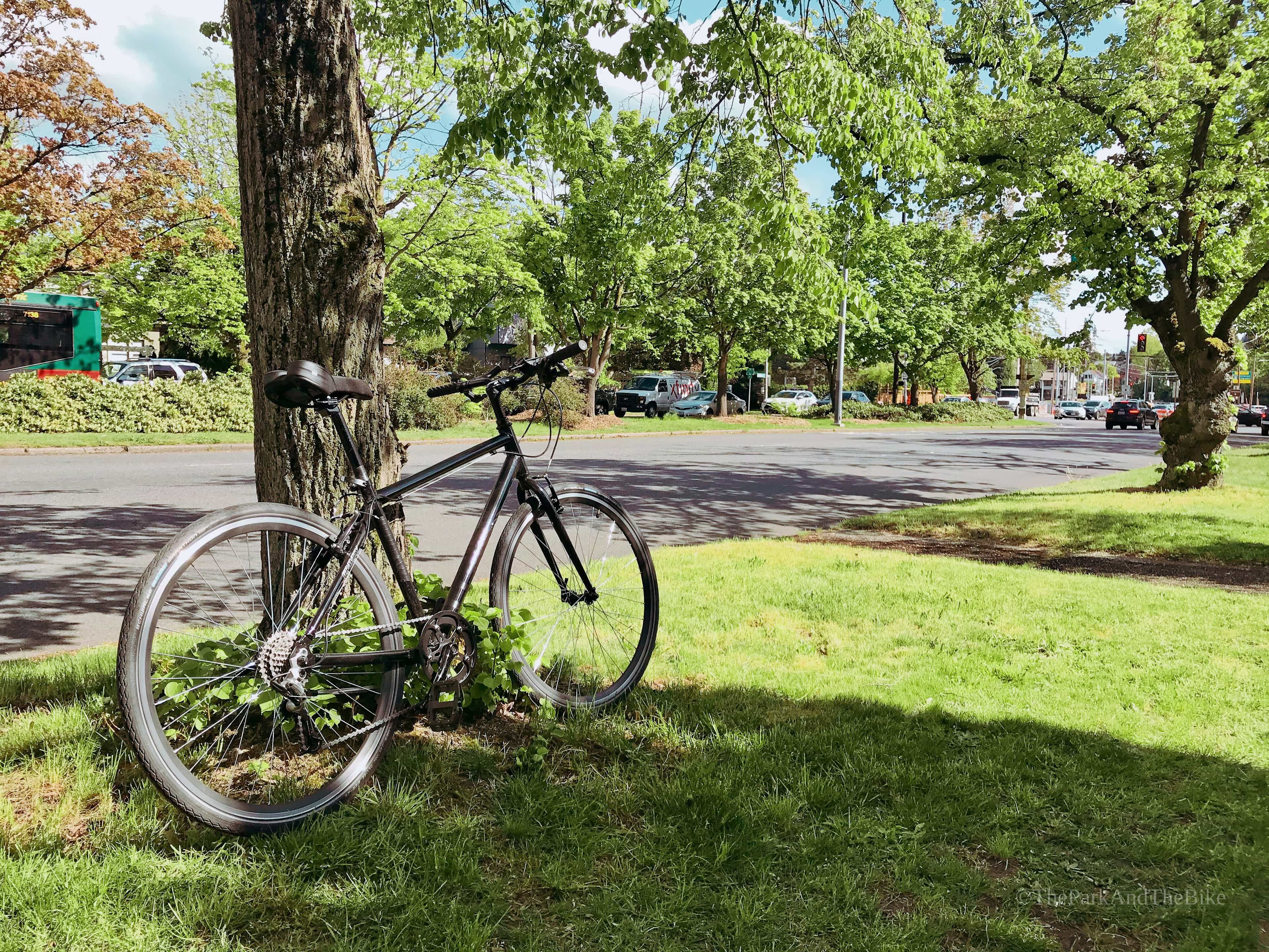 image of Montlake Boulevard