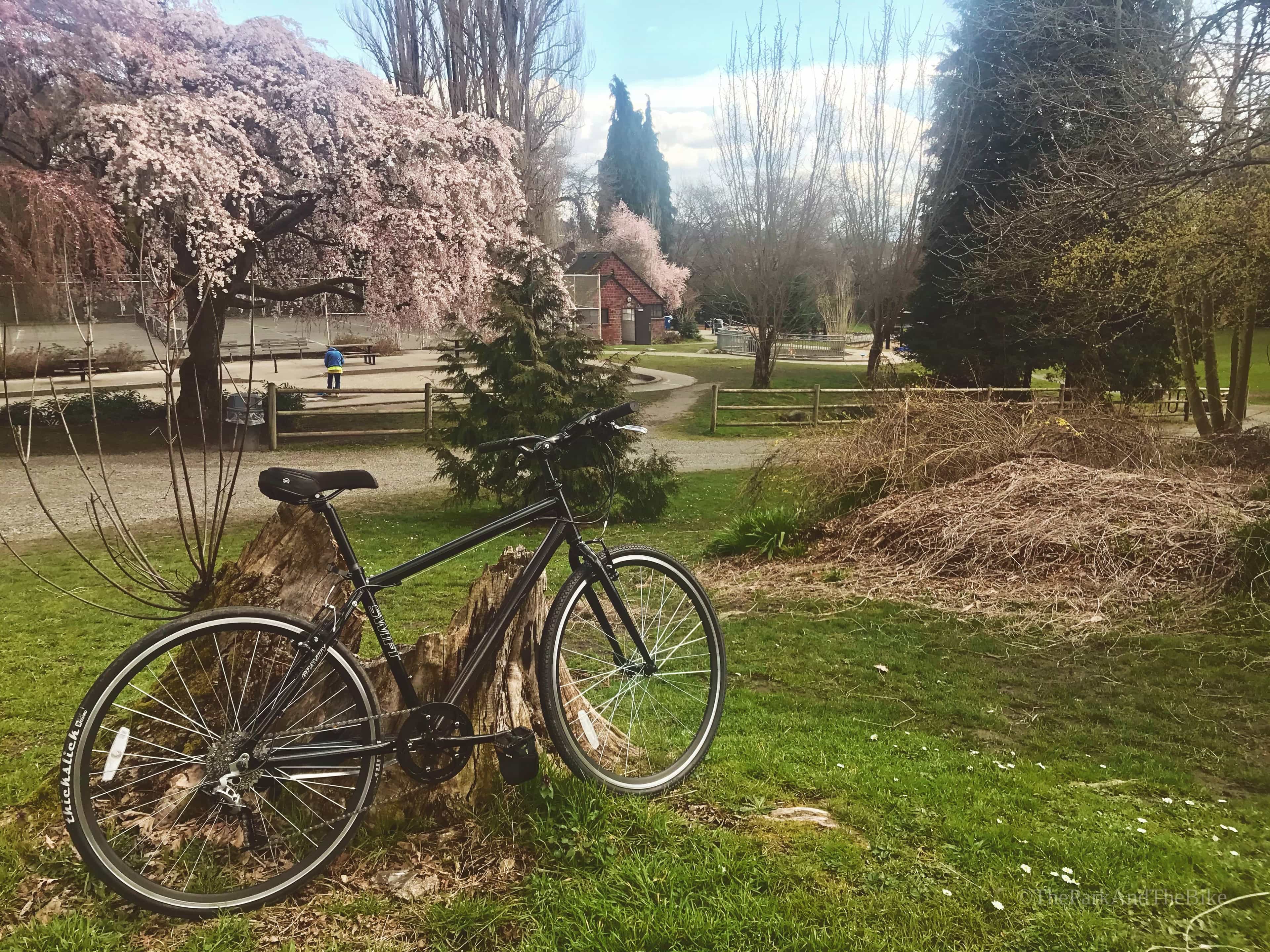 image of Ravenna Park Triangle