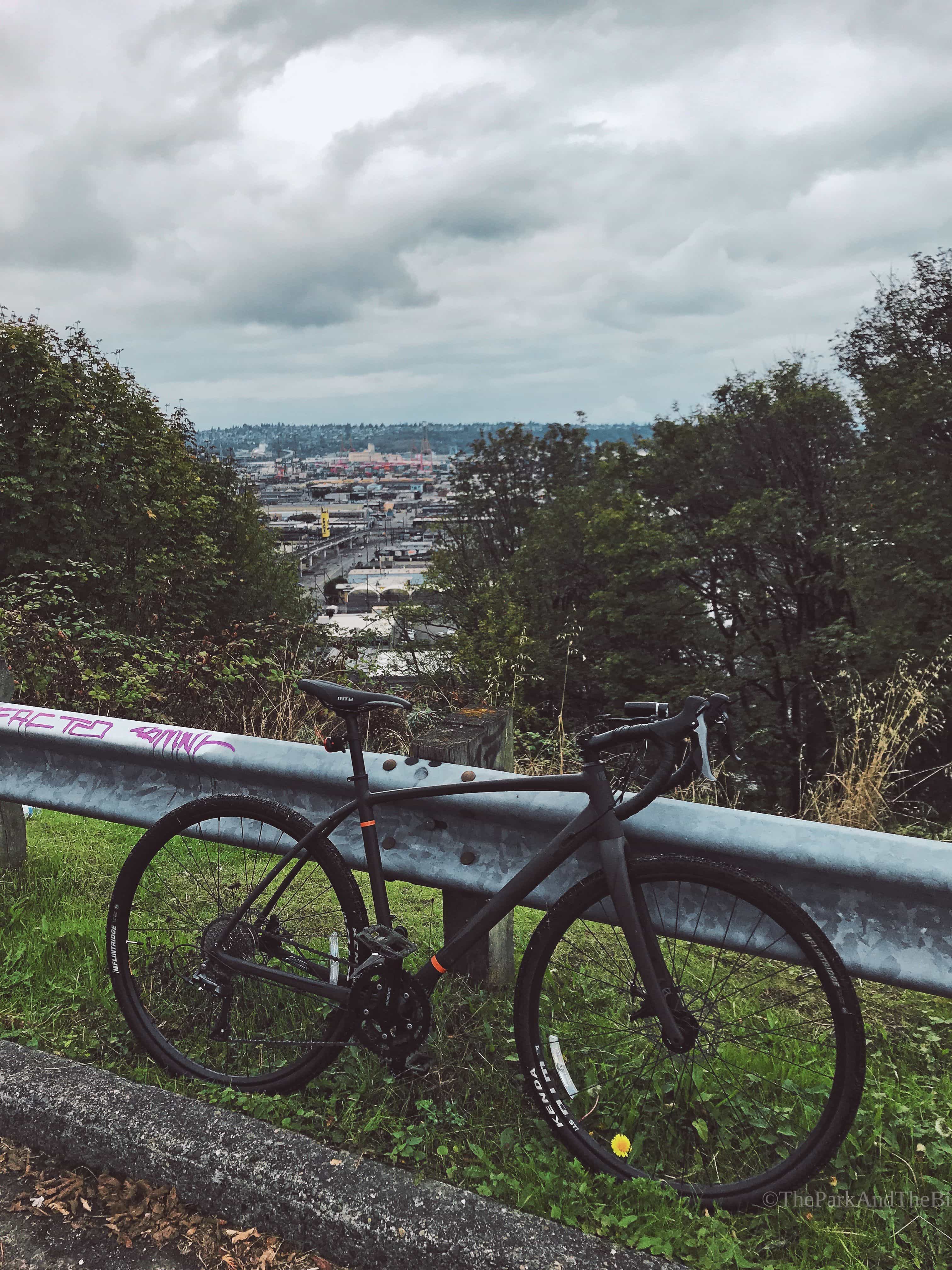 image of 12th Ave S Viewpoint