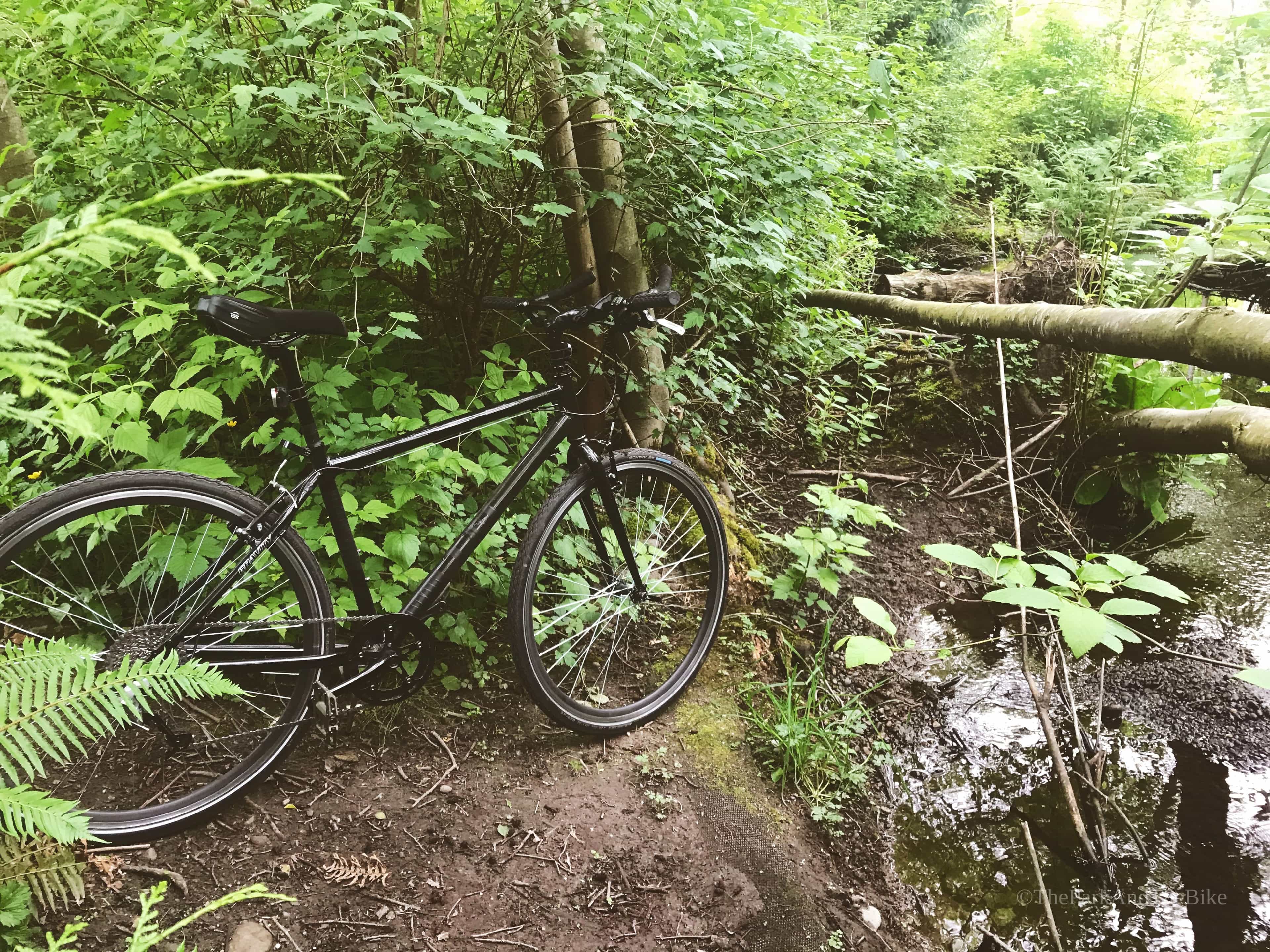 image of Thornton Creek Natural Area