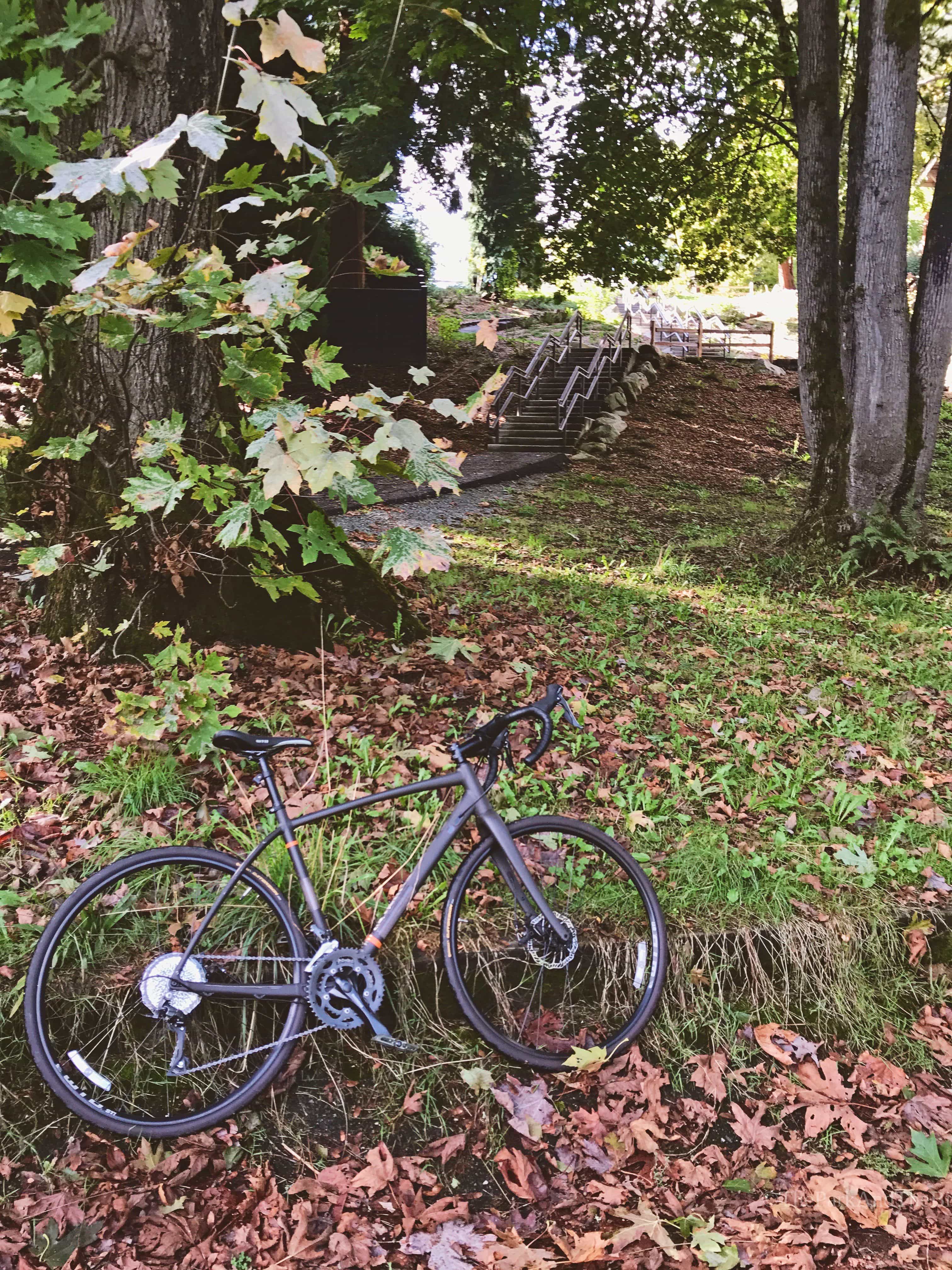 image of Mt. Baker Park