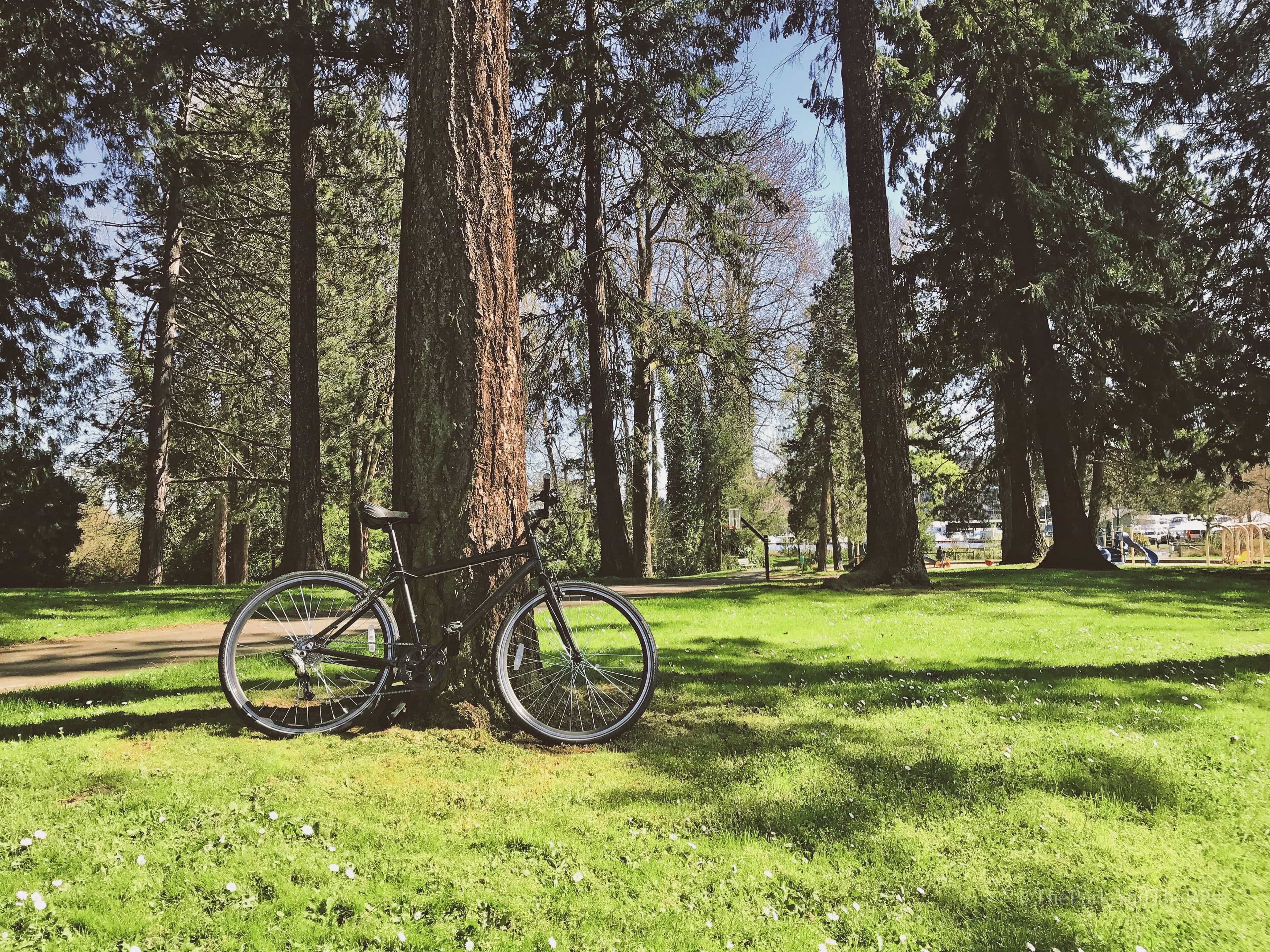 image of Beer Sheva Park