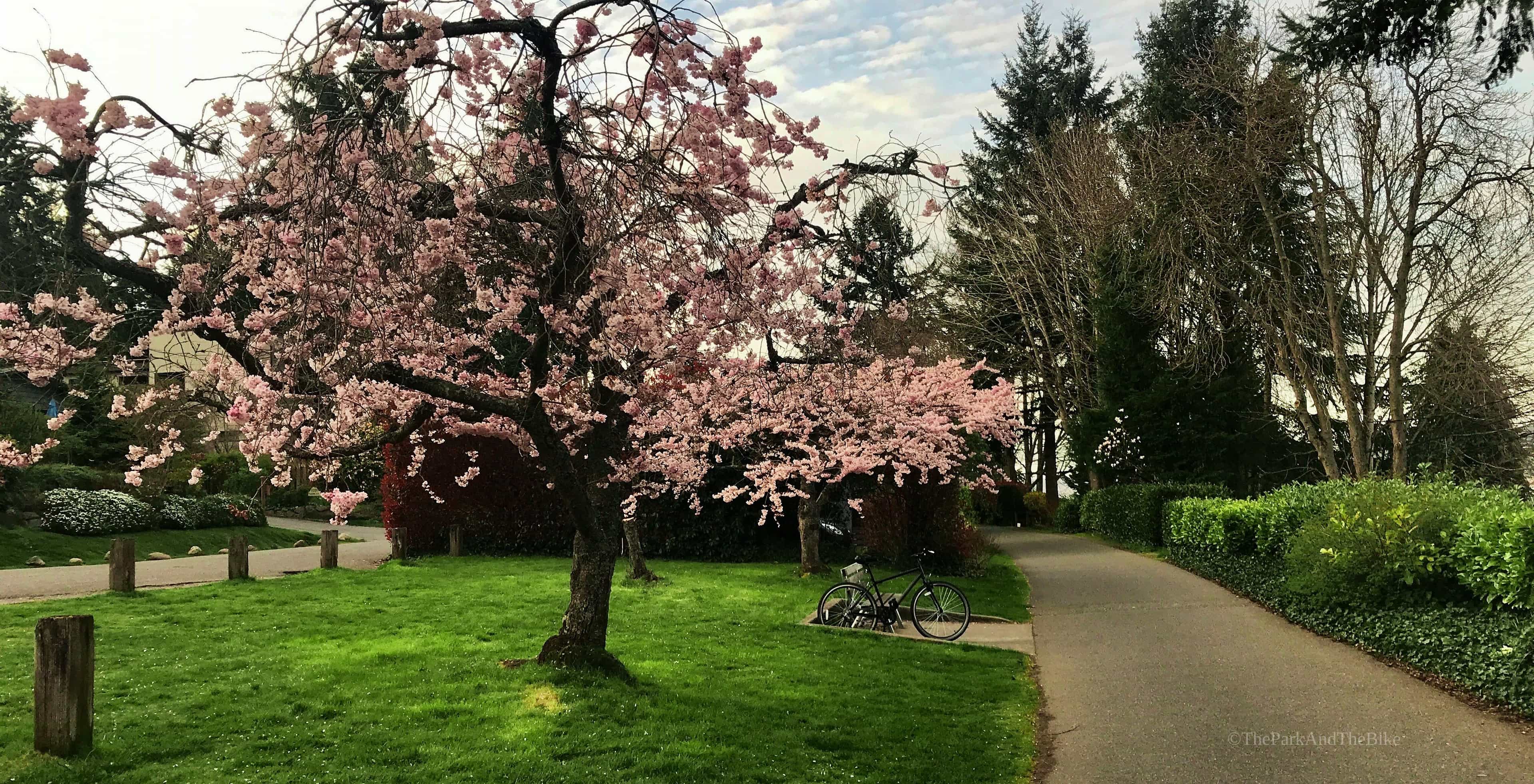 image of Burke-Gilman Trail