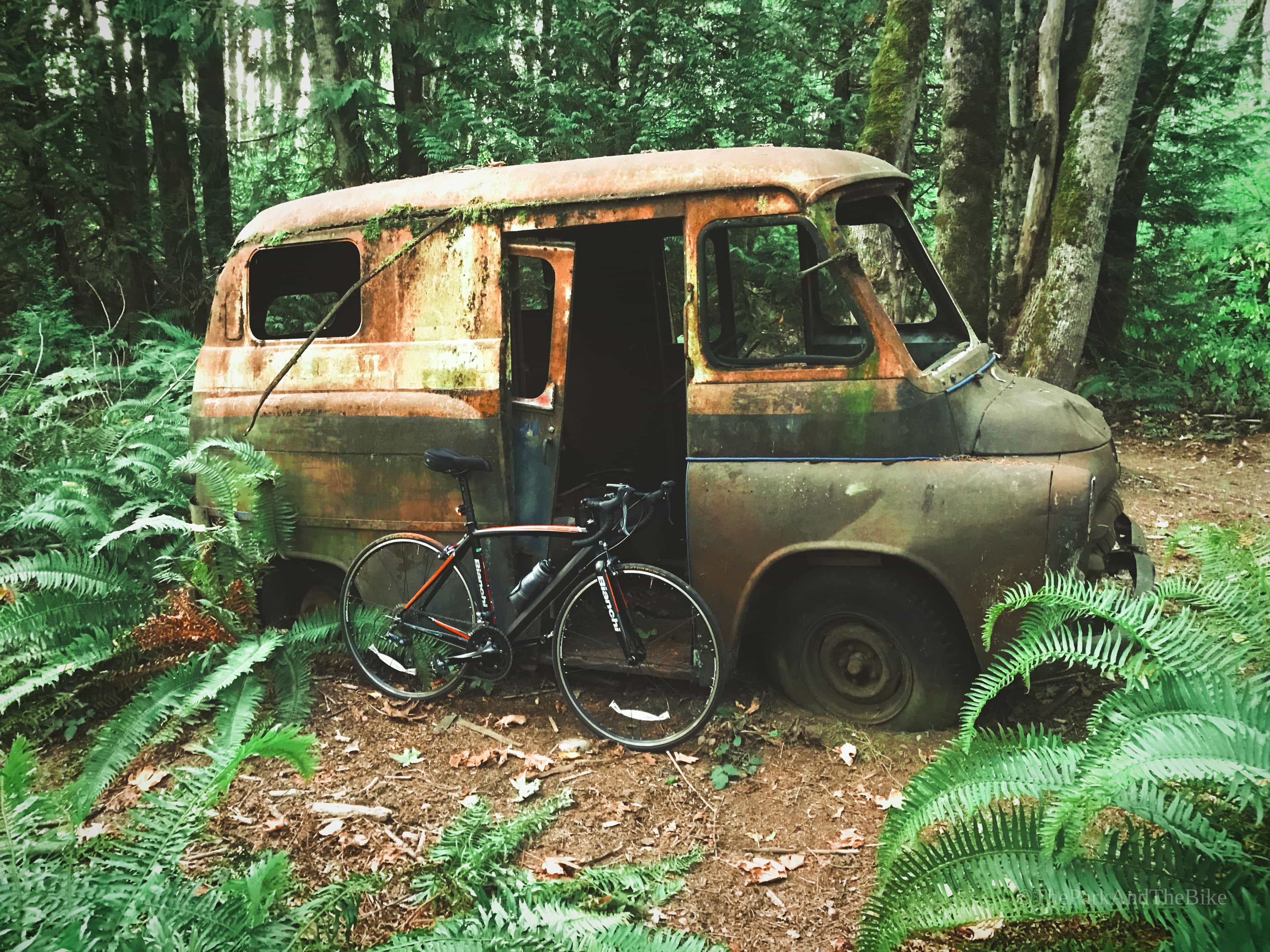 image of May Creek Park - County