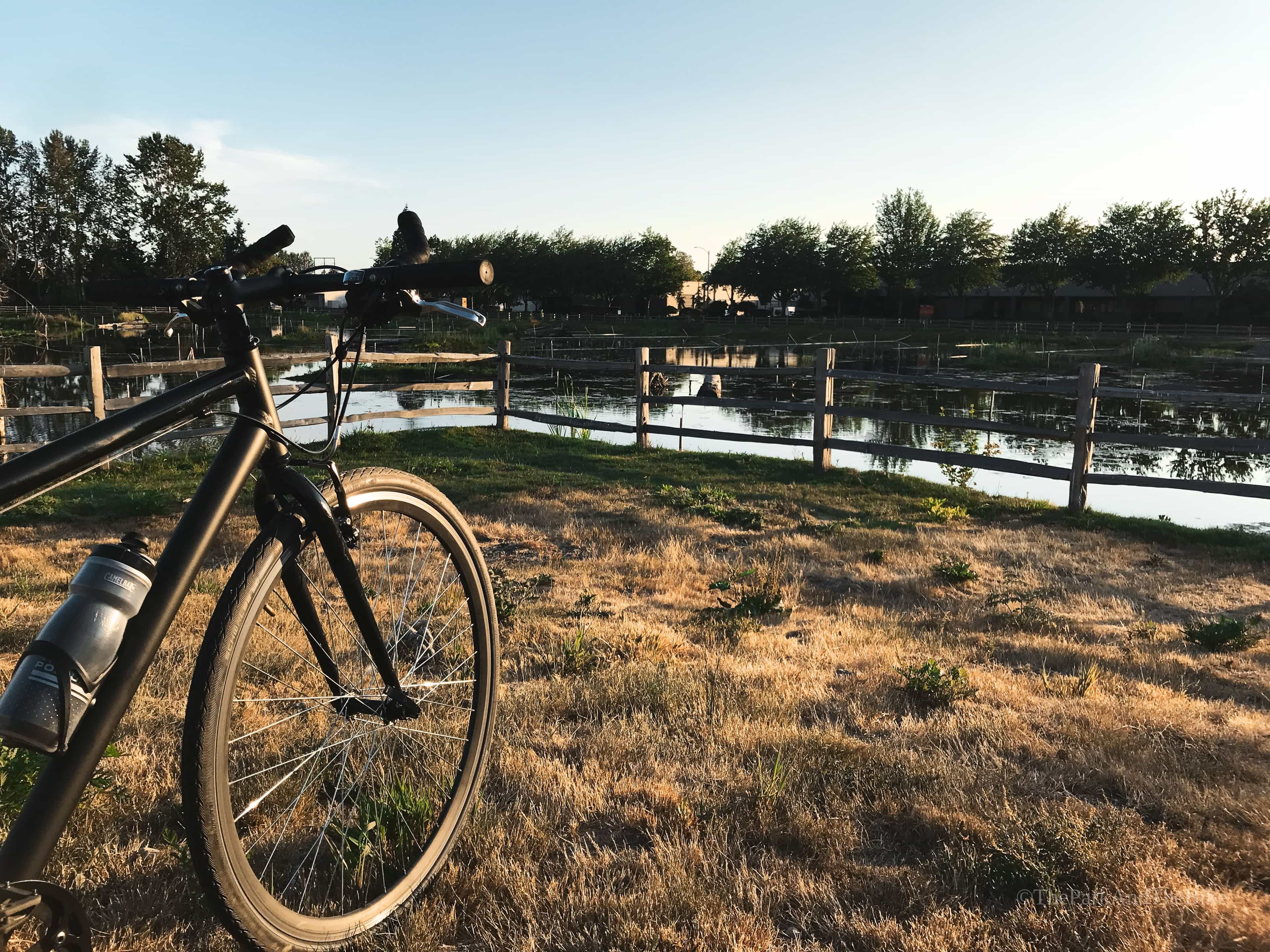 image of Wetlands Interurban Trail