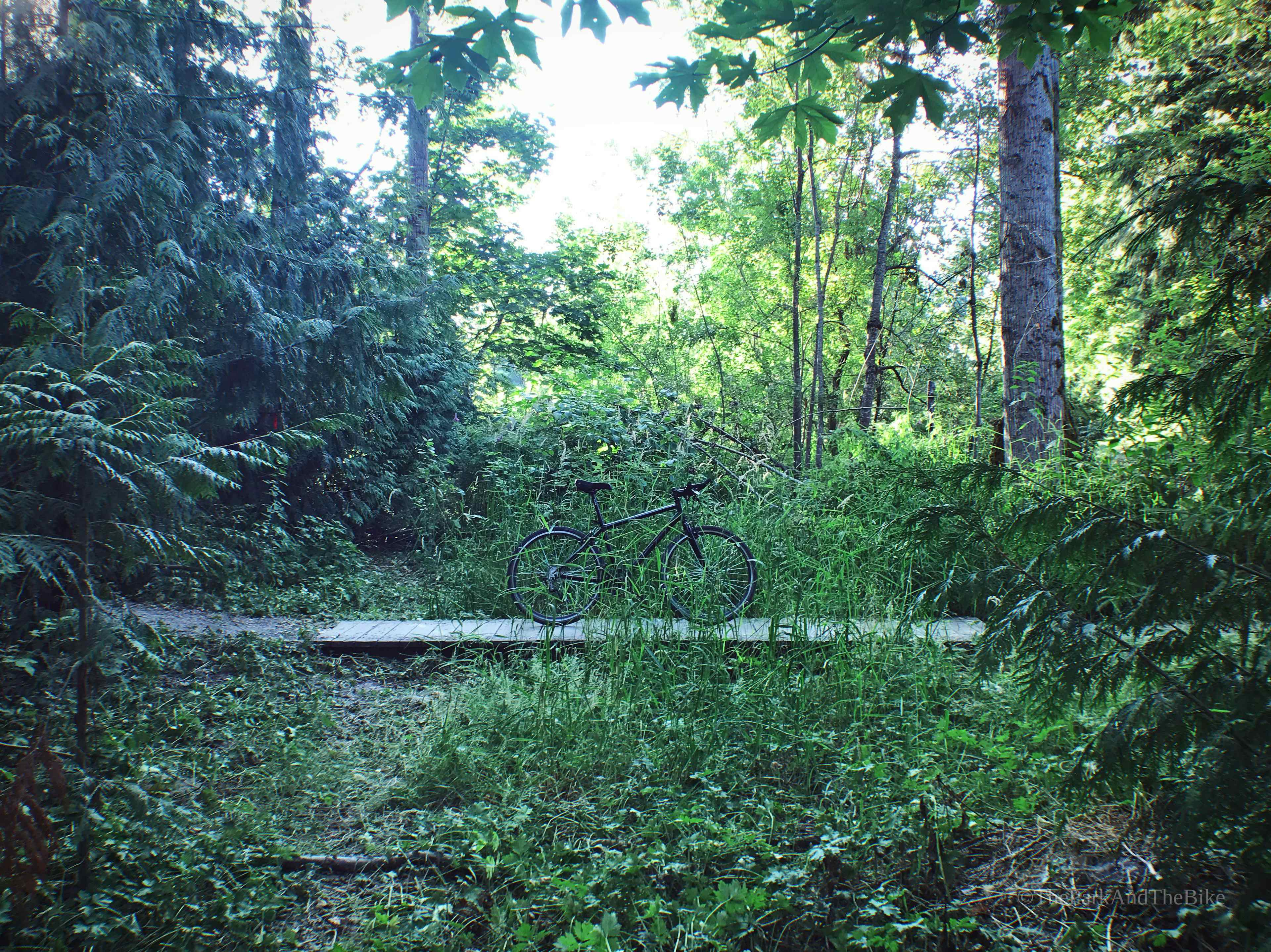image of Wildwood Park