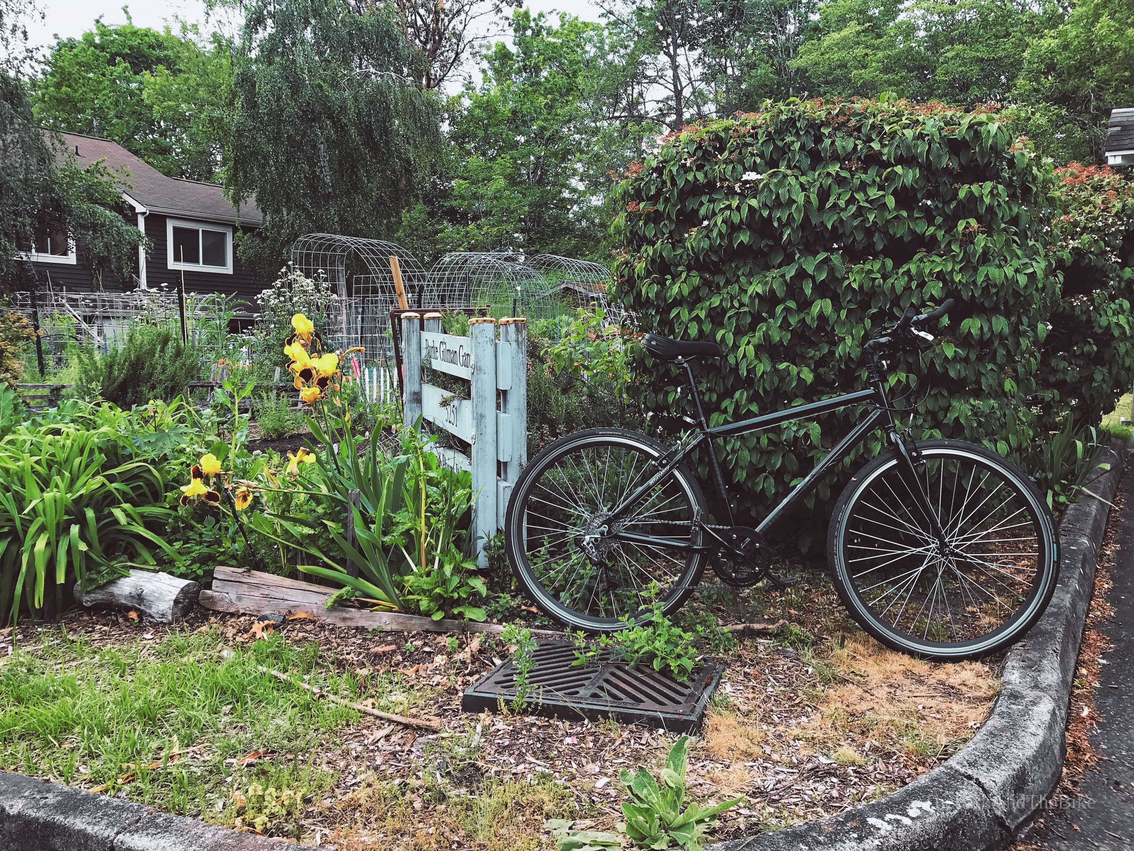 image of Burke-Gilman Gardens