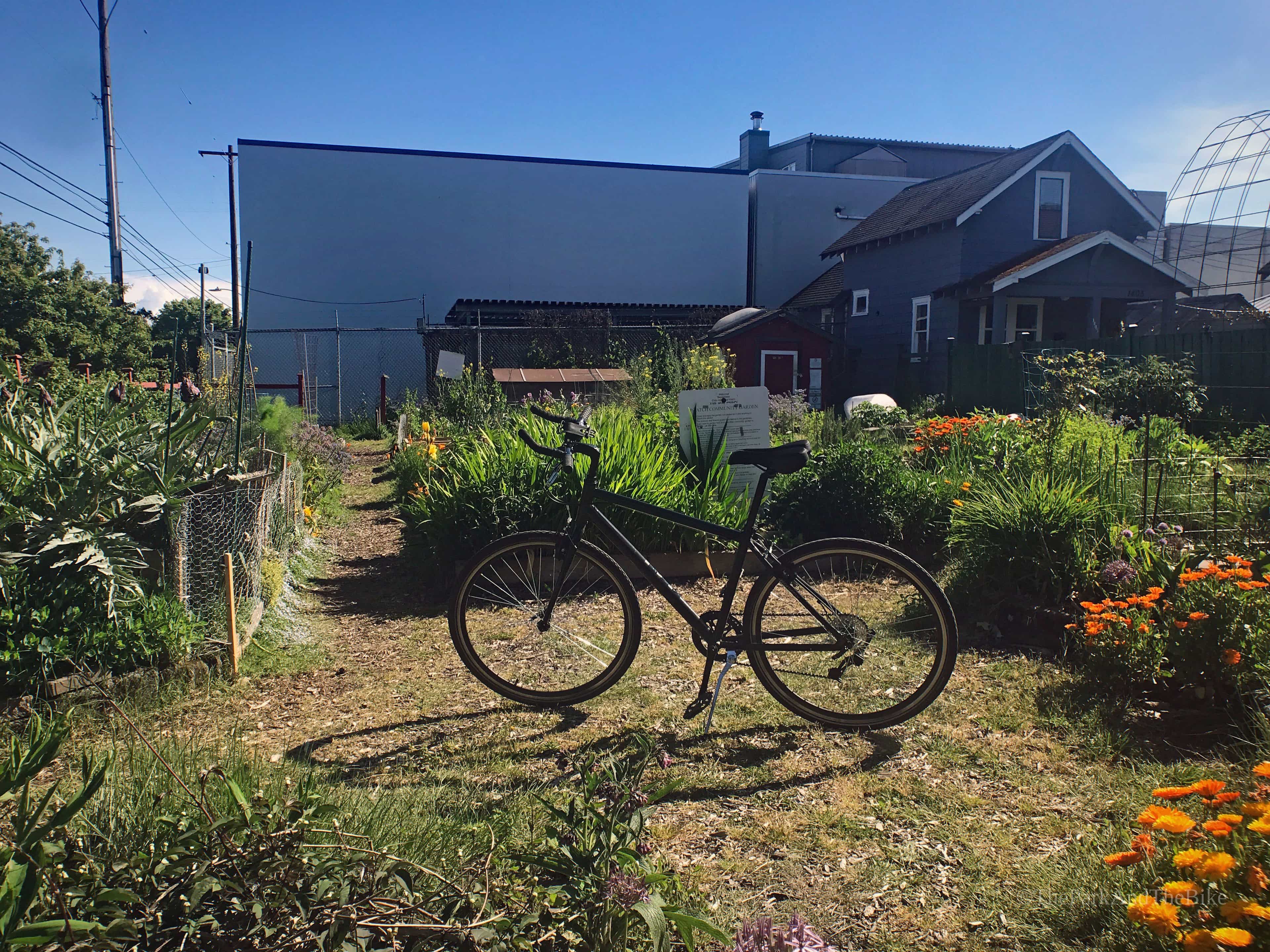 image of Greg's Garden