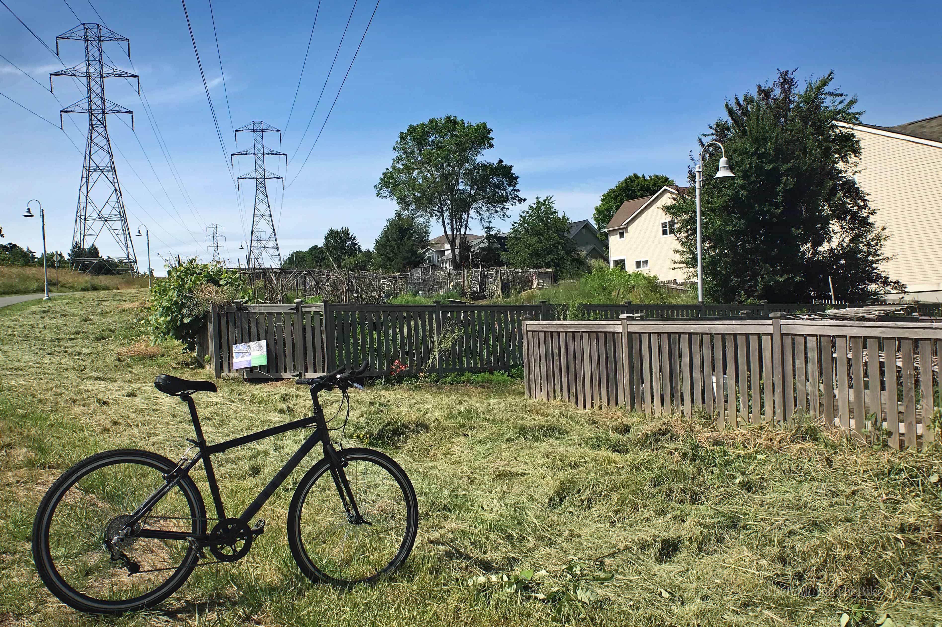 image of New Holly Power Garden