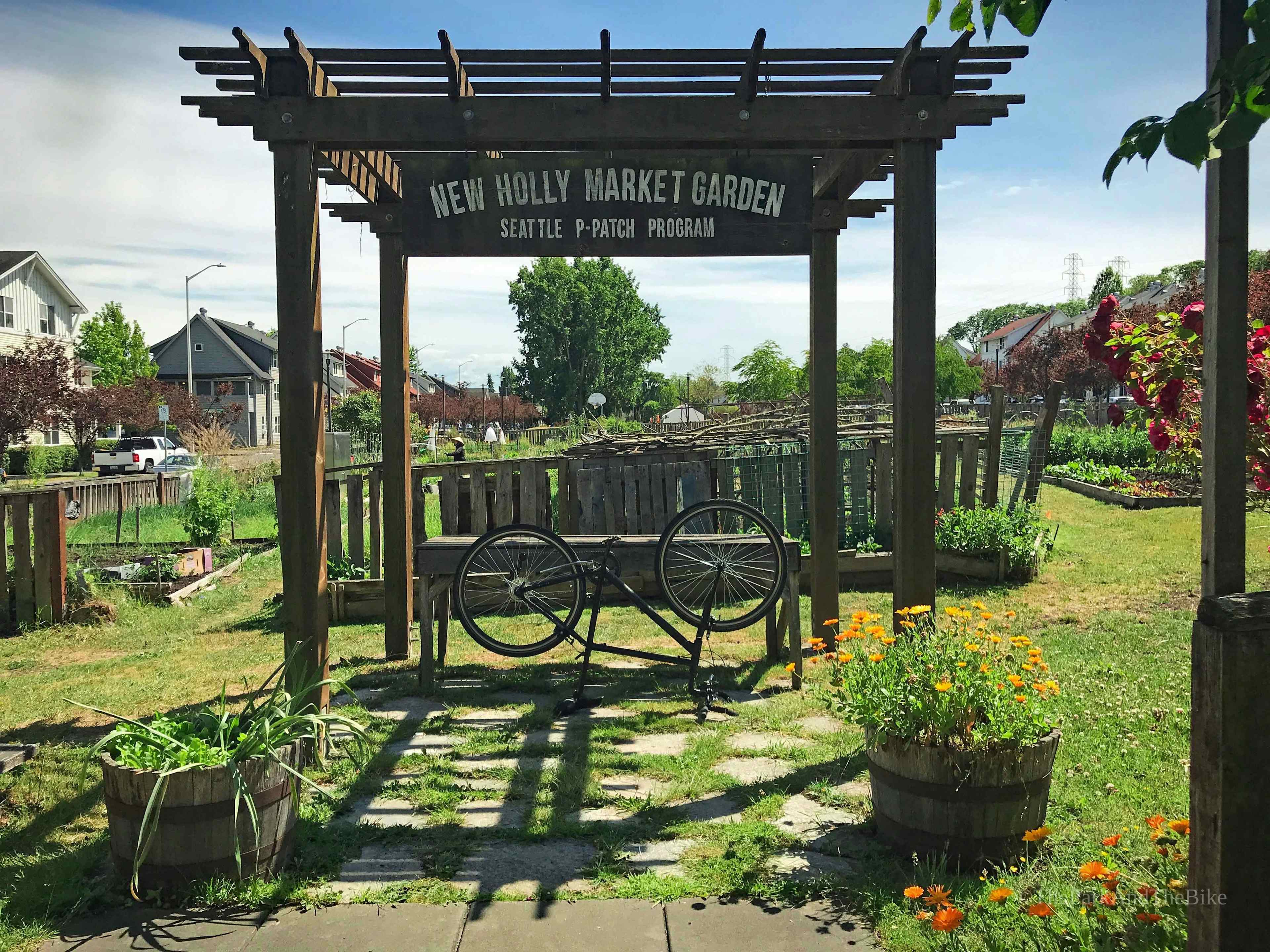 image of New Holly Rockery Community Garden and Market Garden