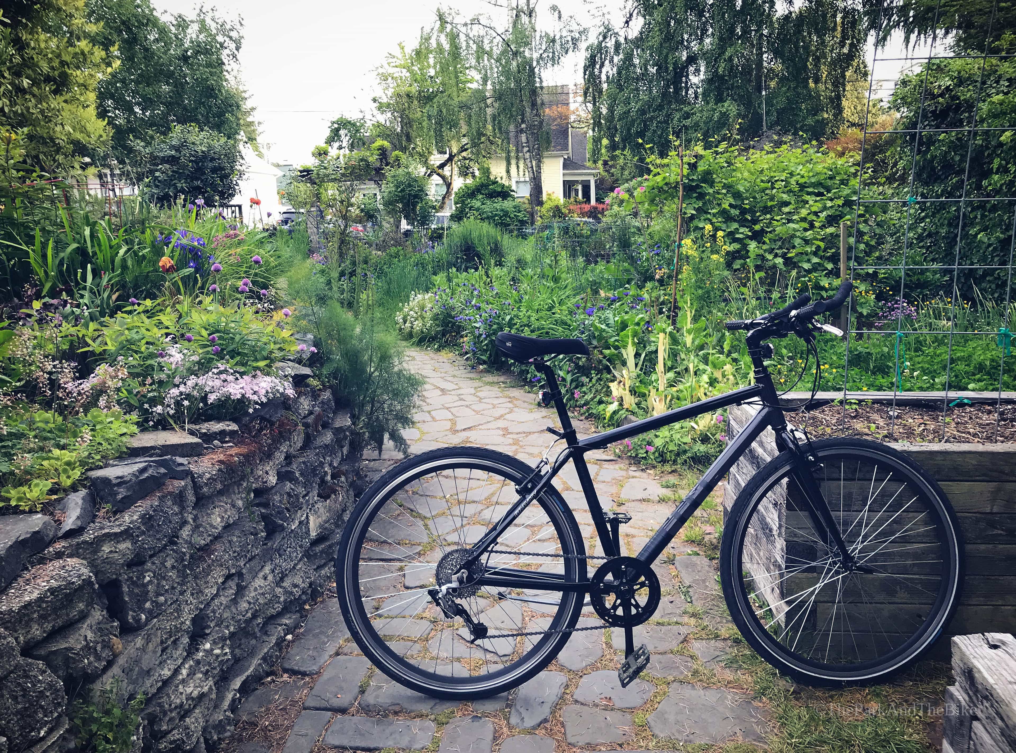 image of Thomas Street Gardens