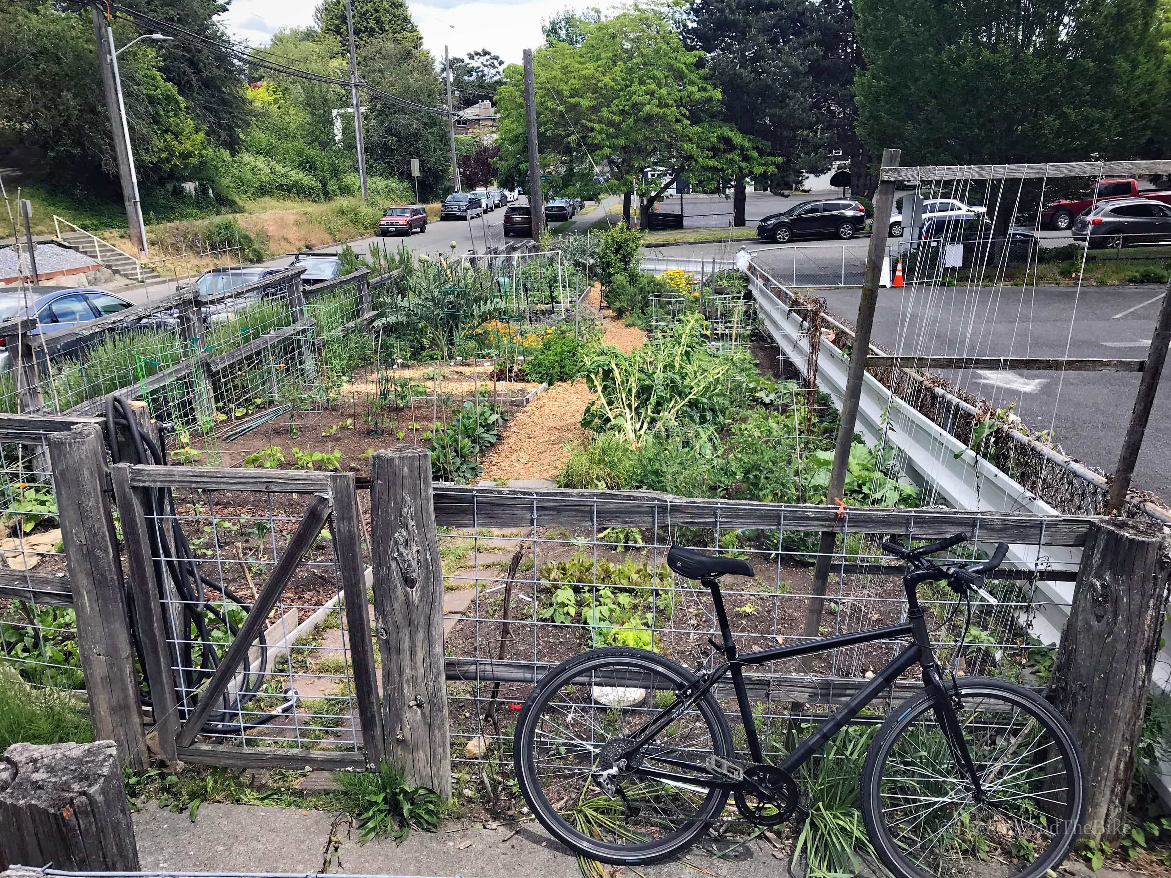 image of West Genesee Garden