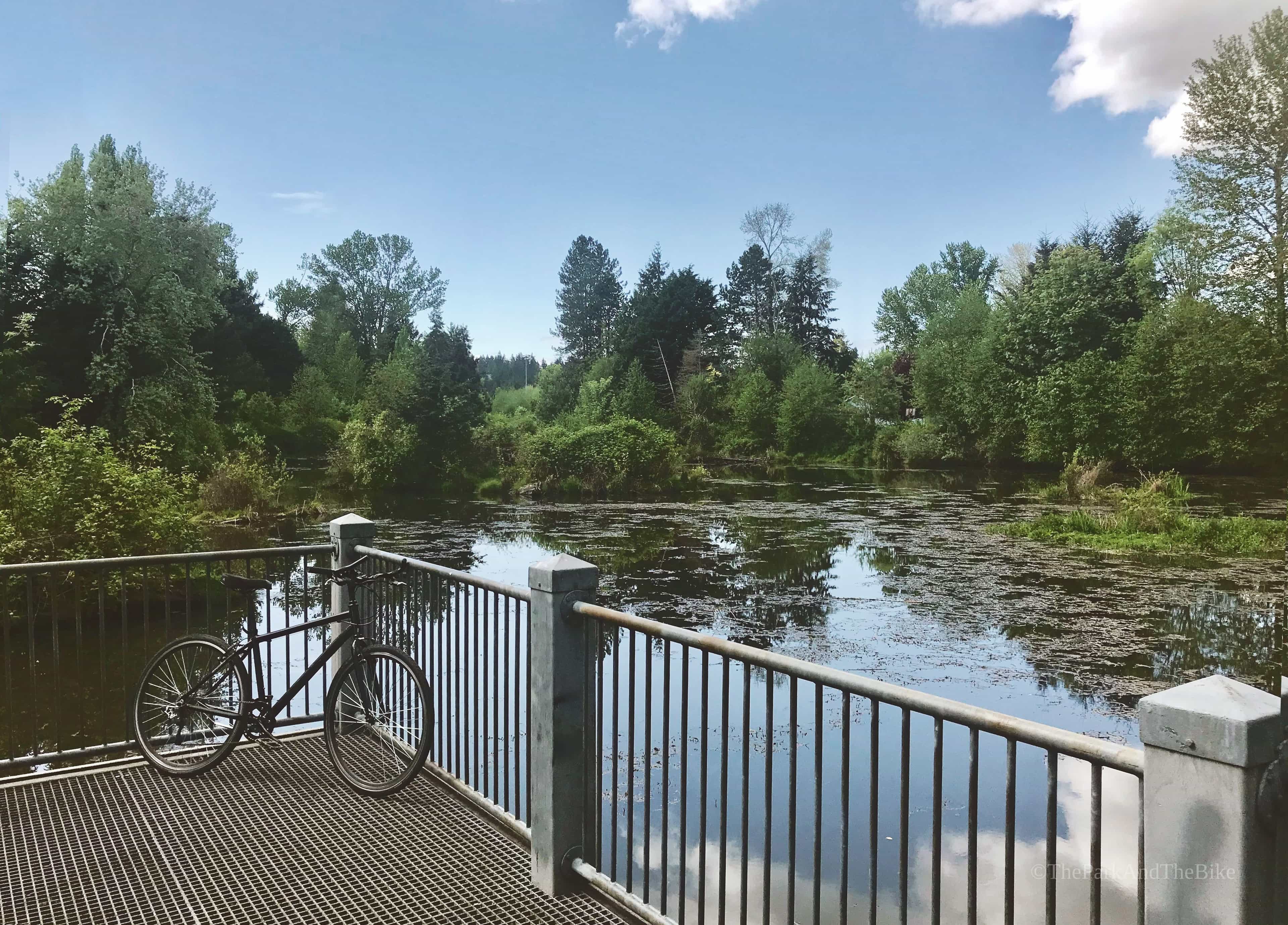 image of Meadowbrook Pond