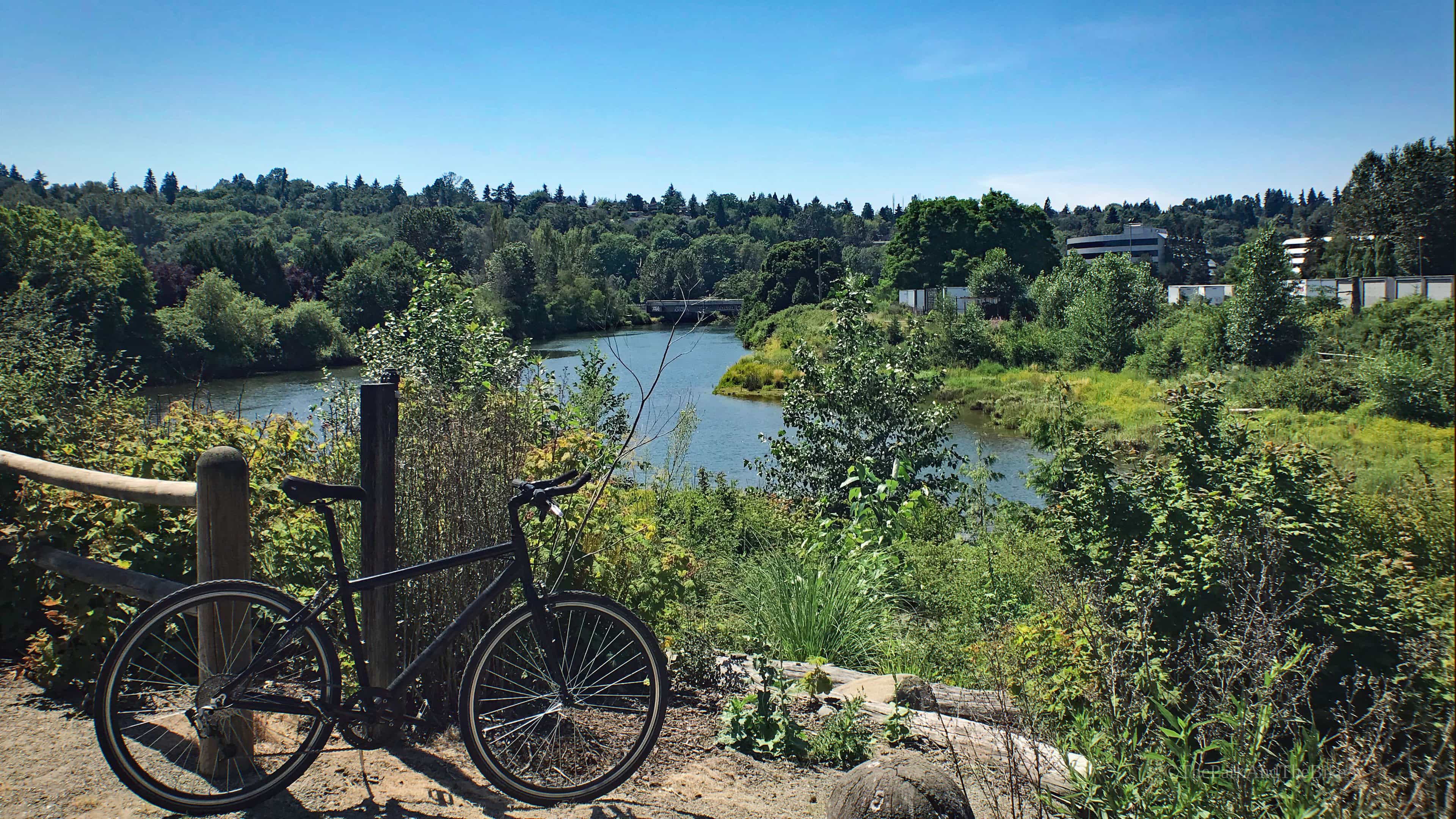 image of Duwamish Gardens Park