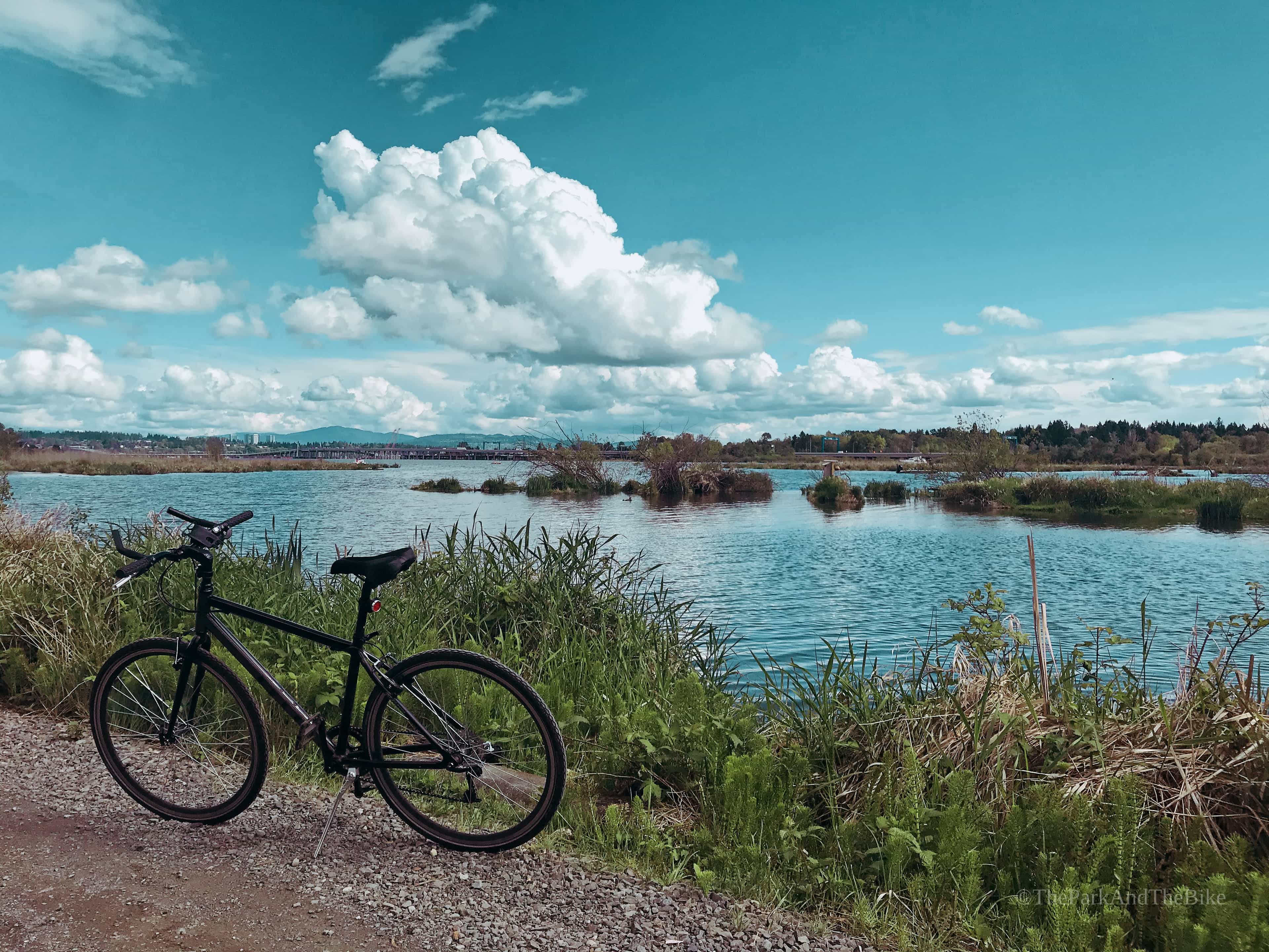 image of Union Bay Natural Area