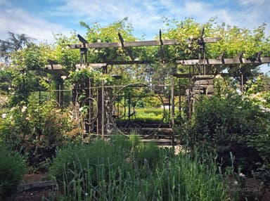 Woodland Park Rose Garden