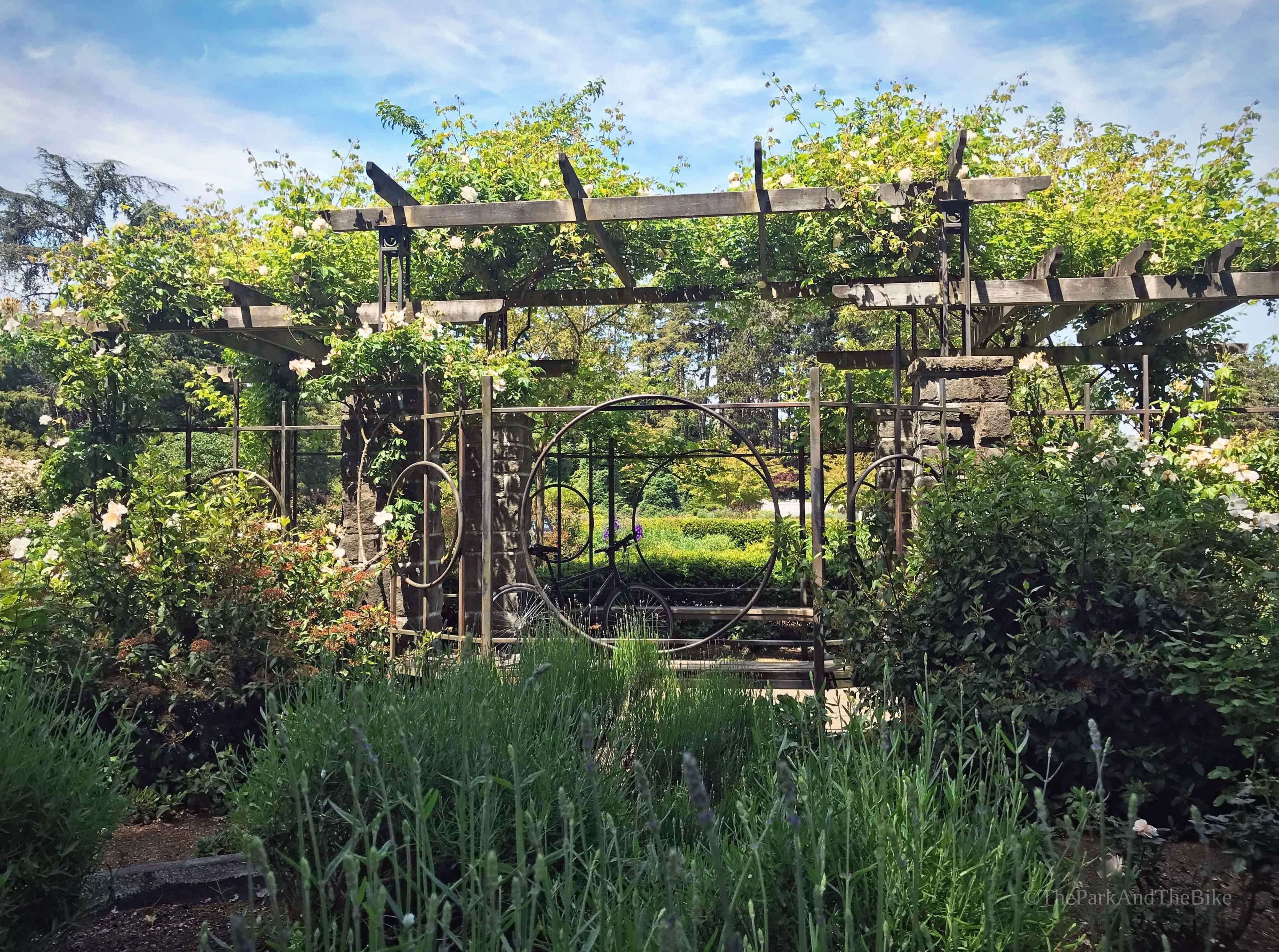Woodland Park Rose Garden