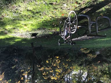 Washington Park Playfield