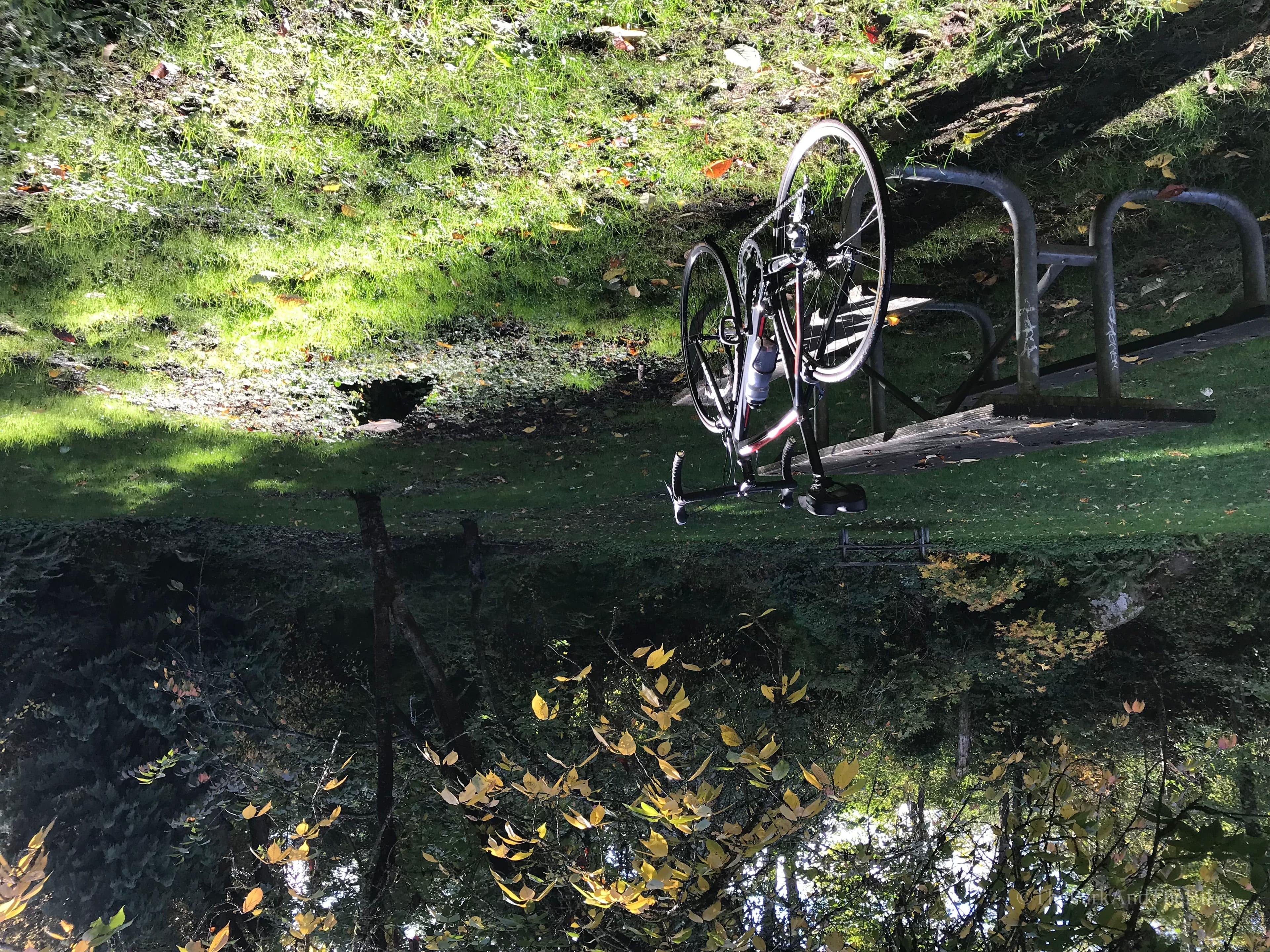 Washington Park Playfield