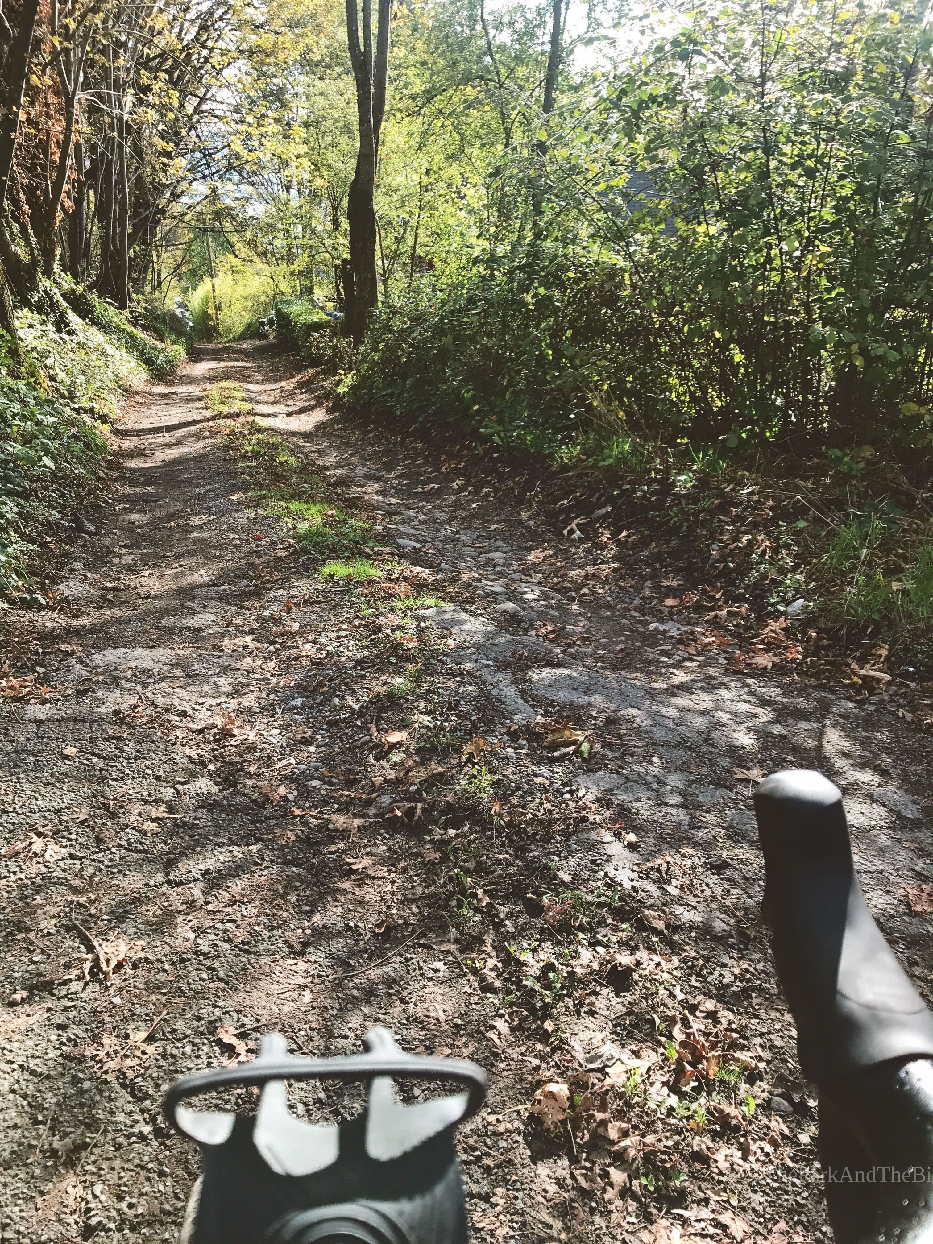 Maple School Ravine