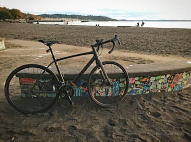 Golden Gardens Park