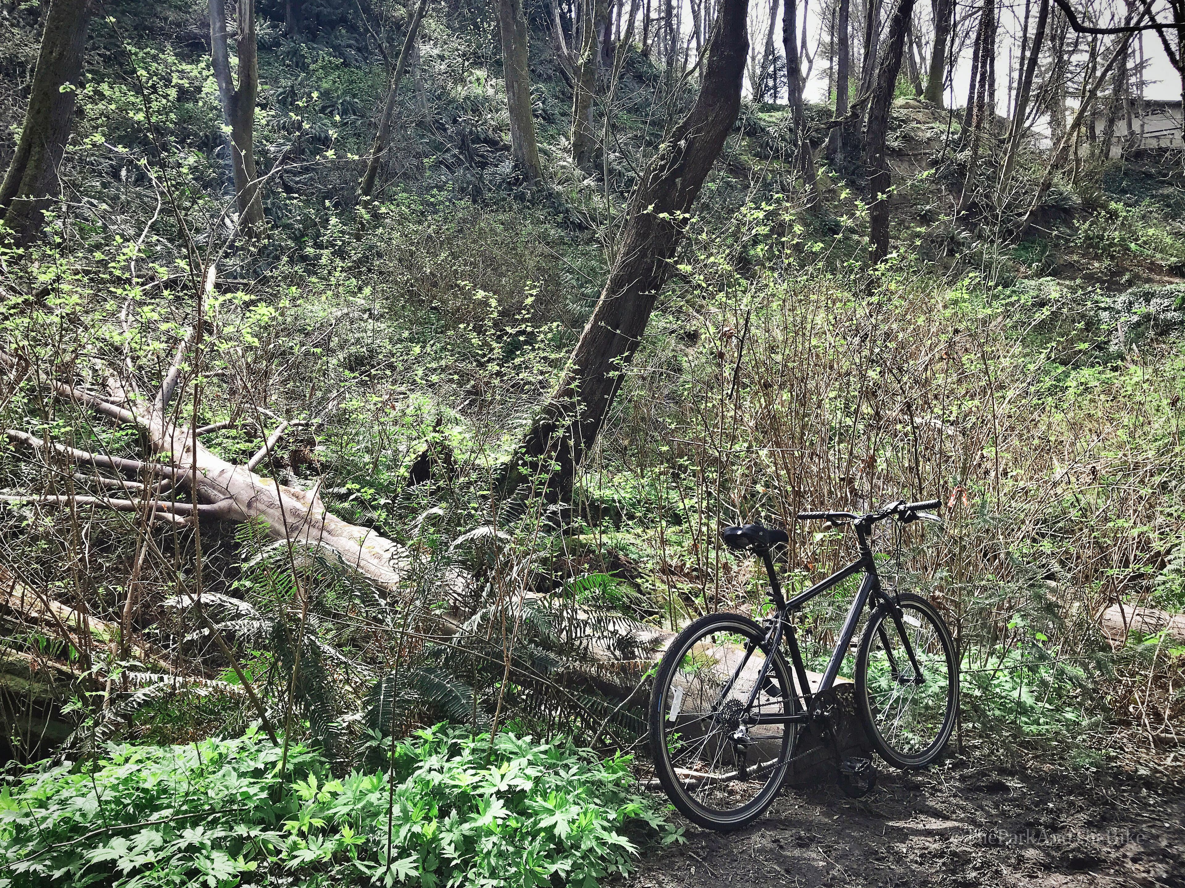North Beach Park