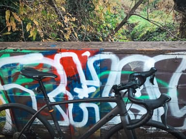 Longfellow Creek Greenspace