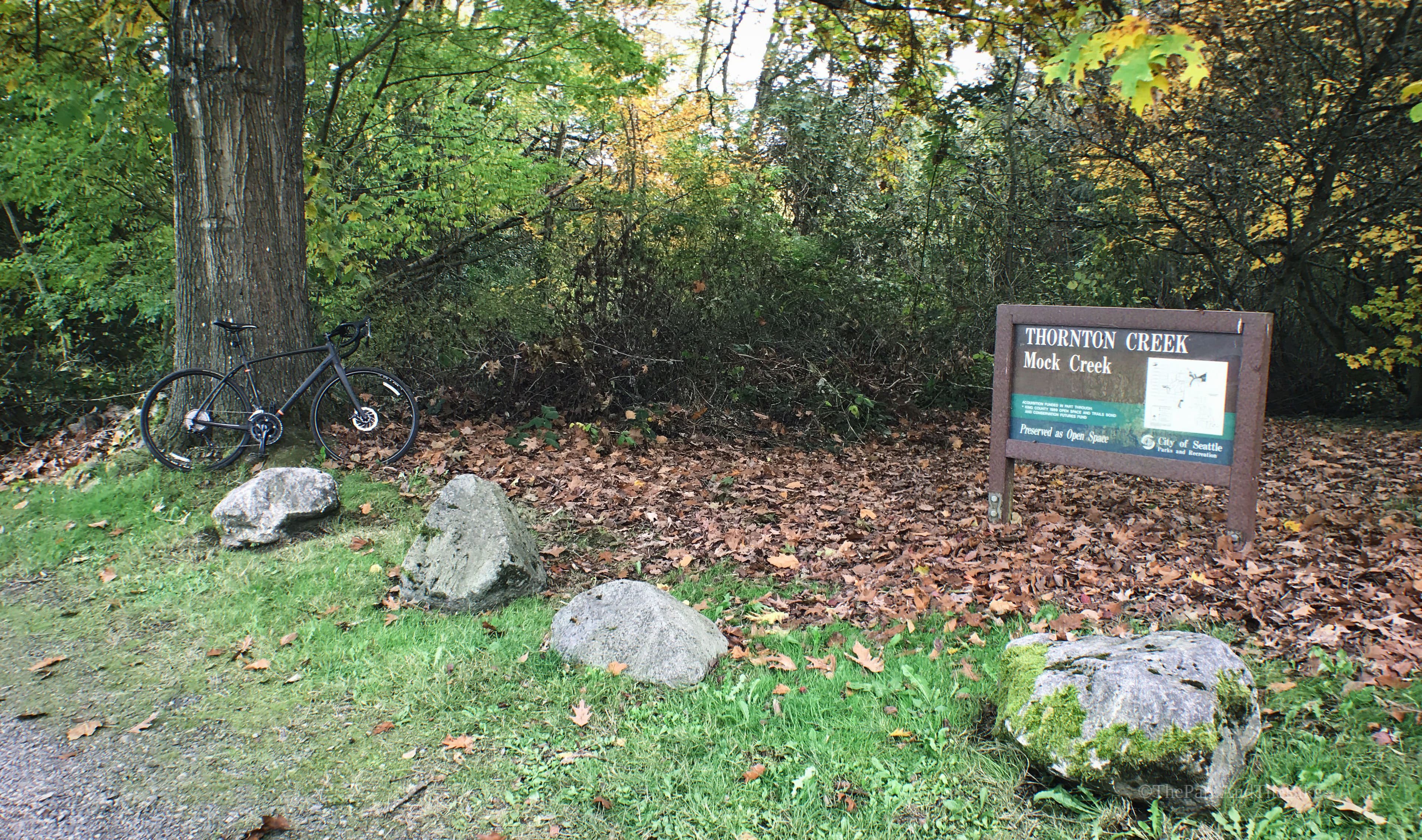 Mock Creek Ravine