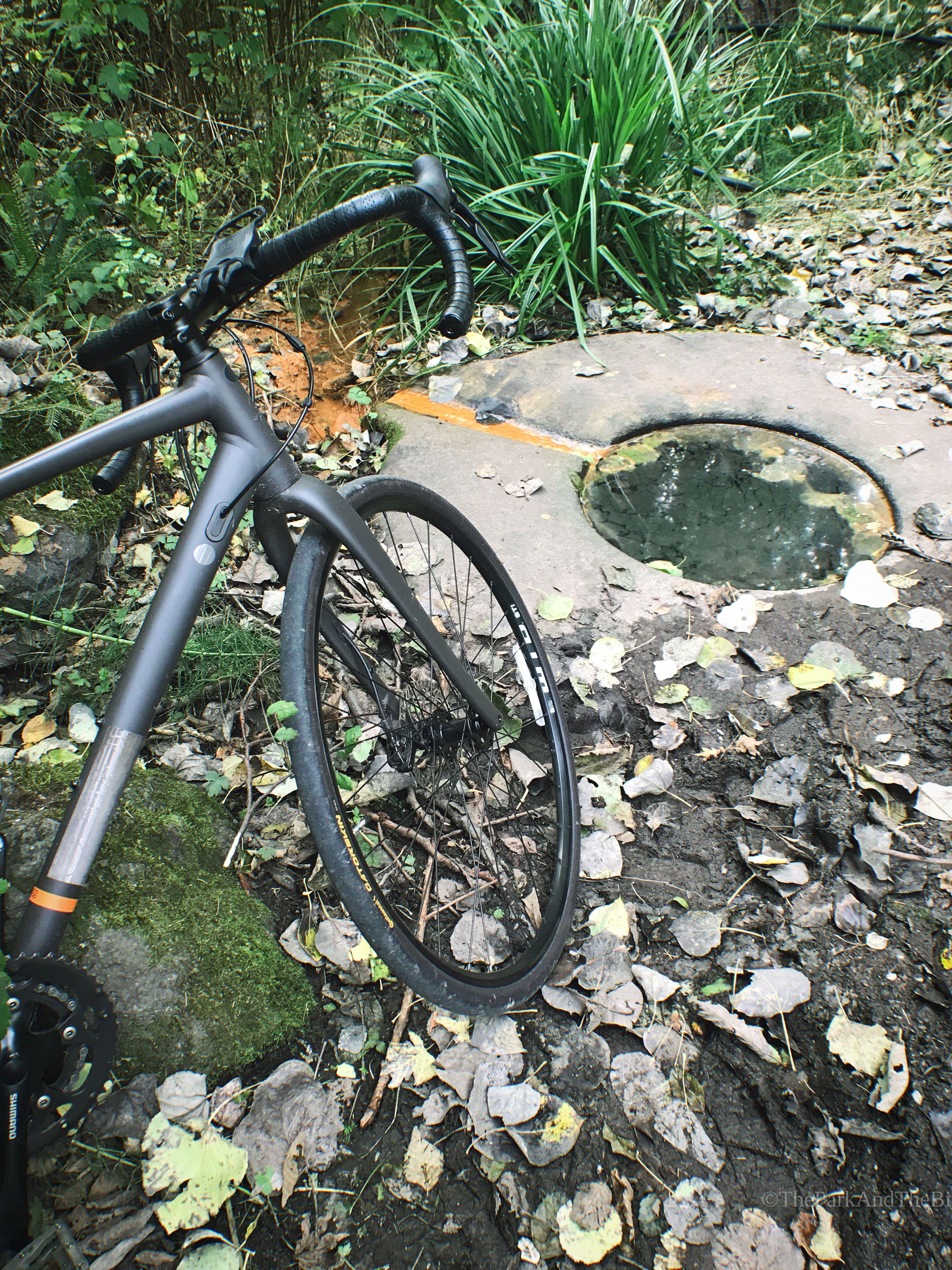 Licton Springs Park