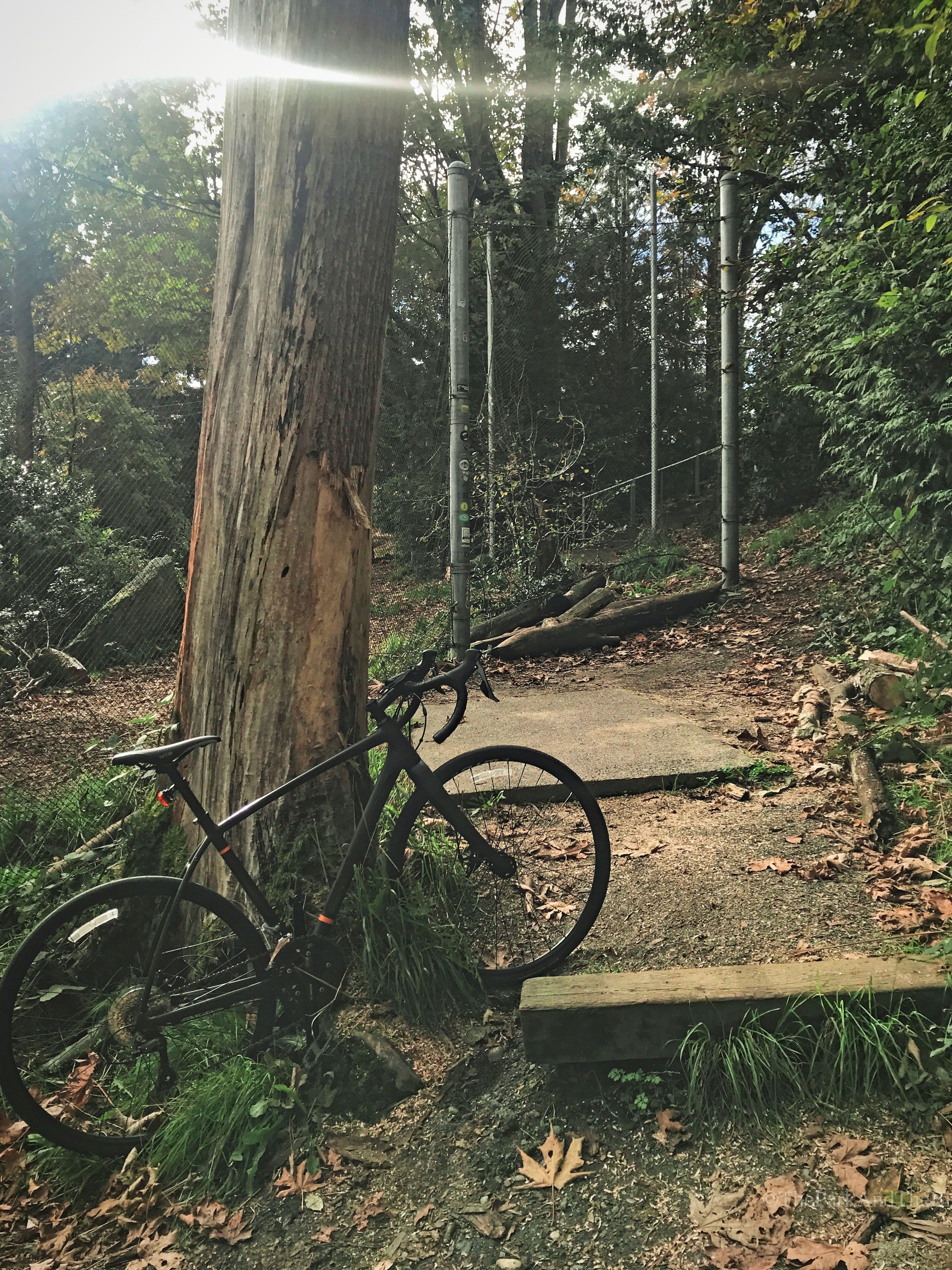 Mineral Springs Park