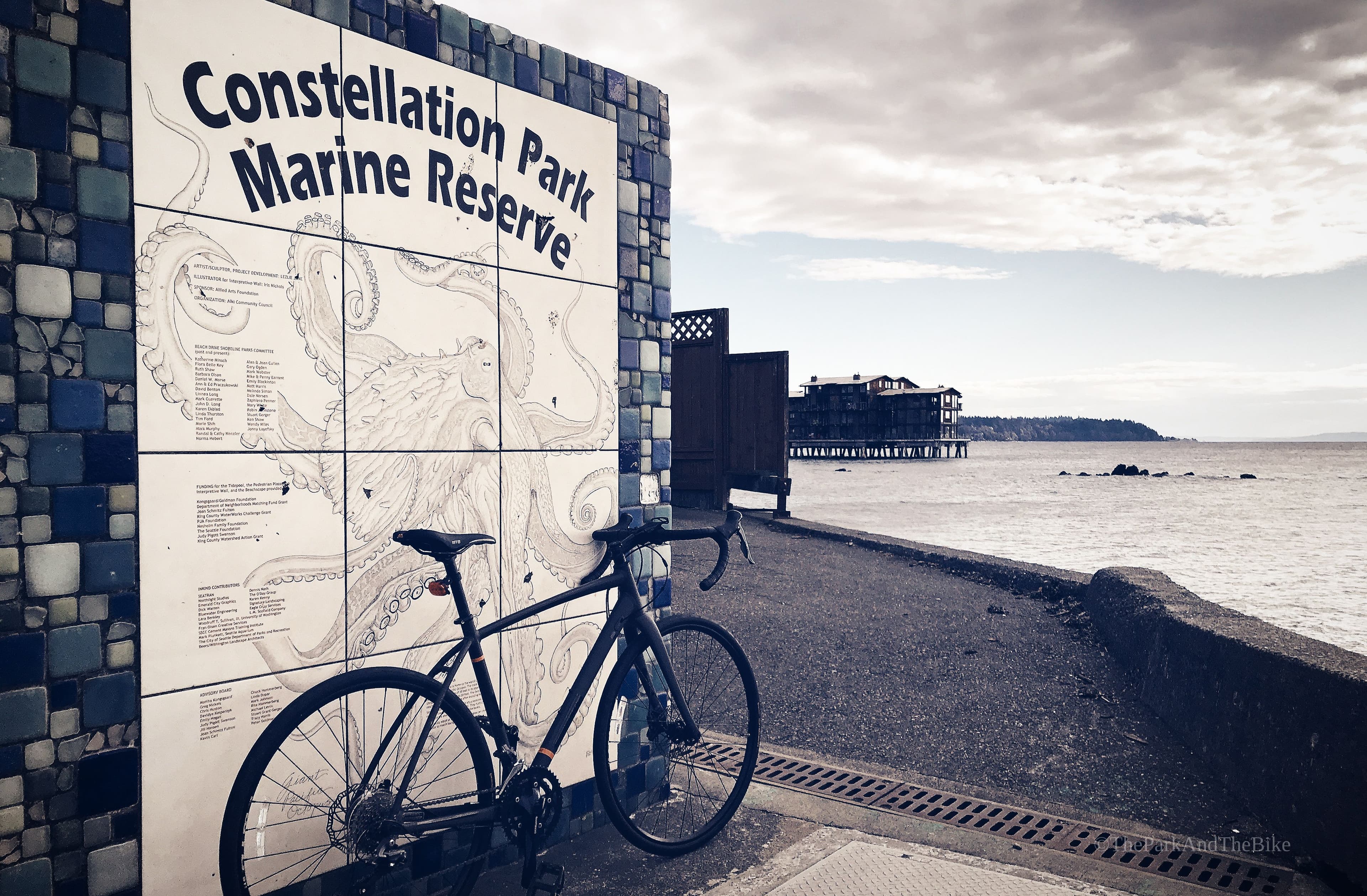 Cormorant Cove