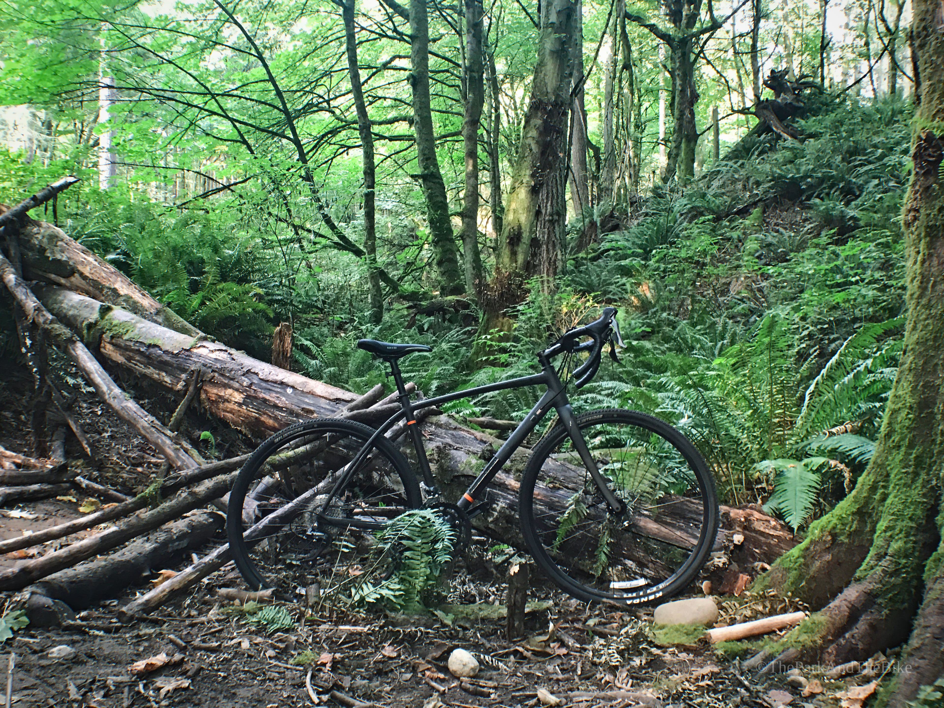 Llandover Woods Greenspace