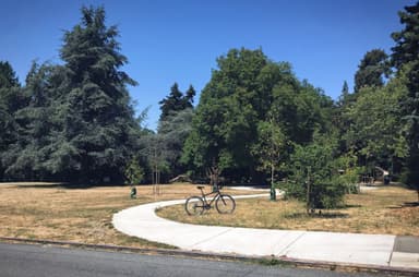 David Rodgers Park