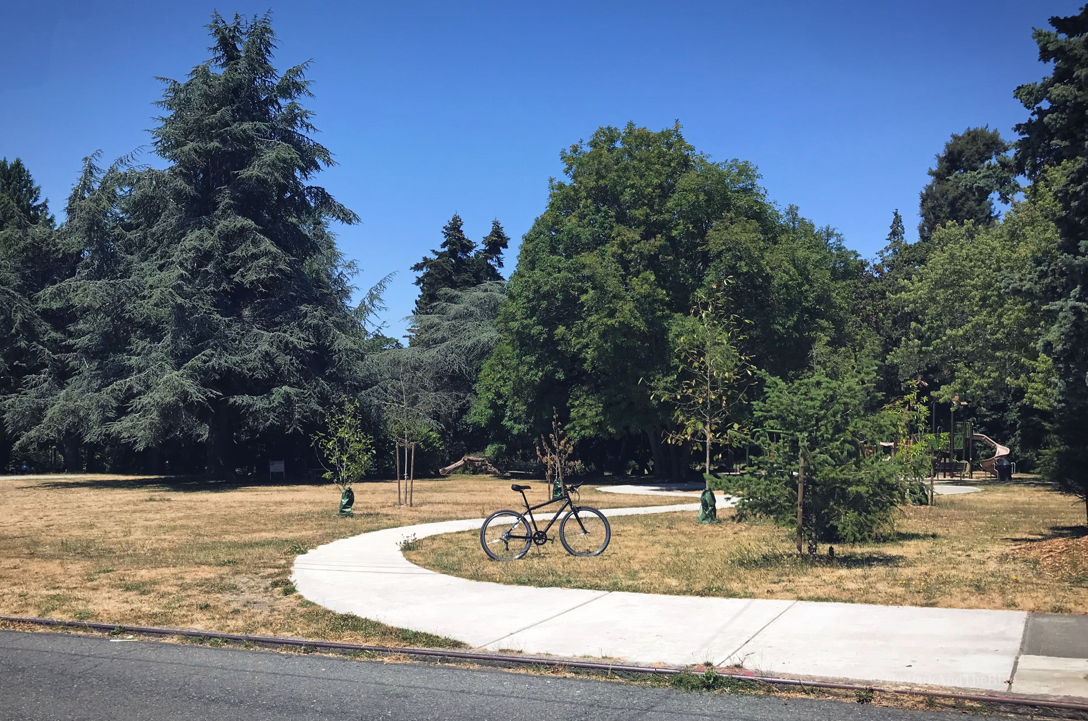 David Rodgers Park