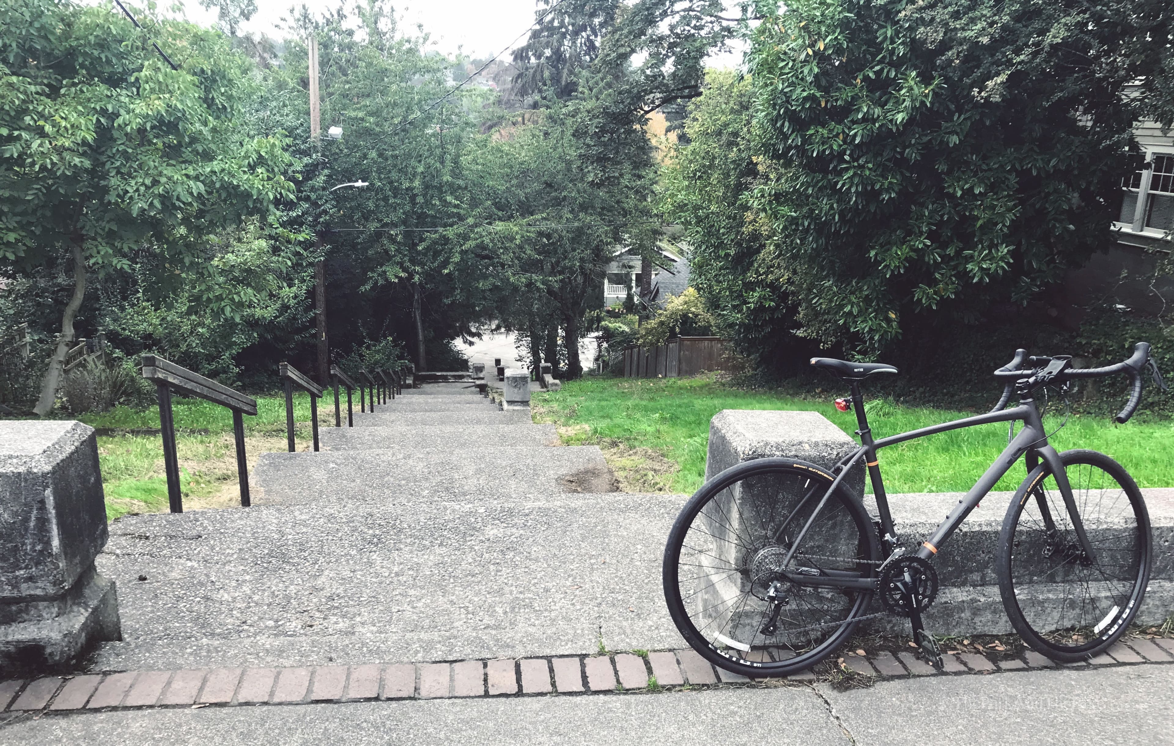Horton Hill Corridor