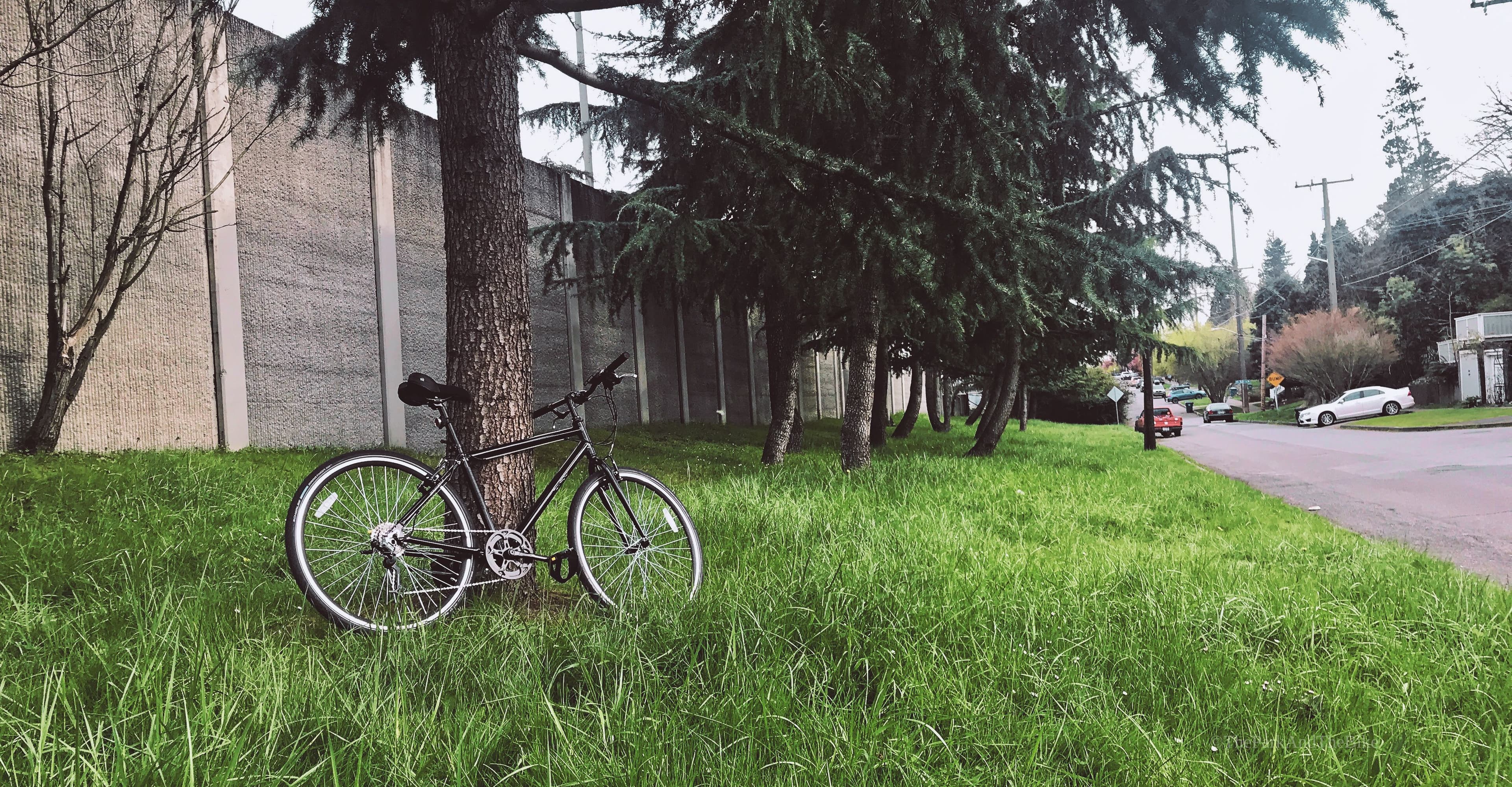 NE 60th Street Park
