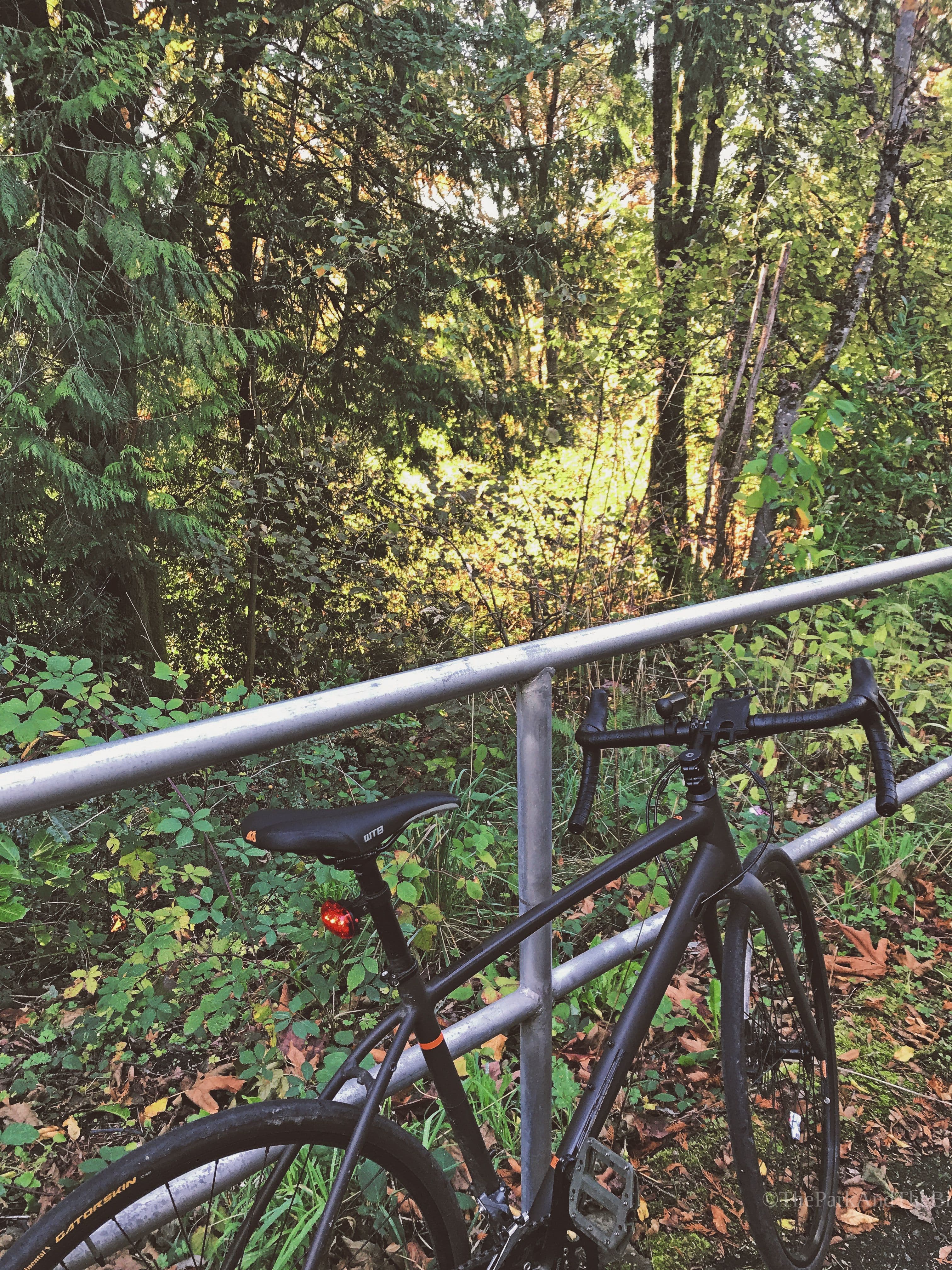 Puget Creek Greenspace