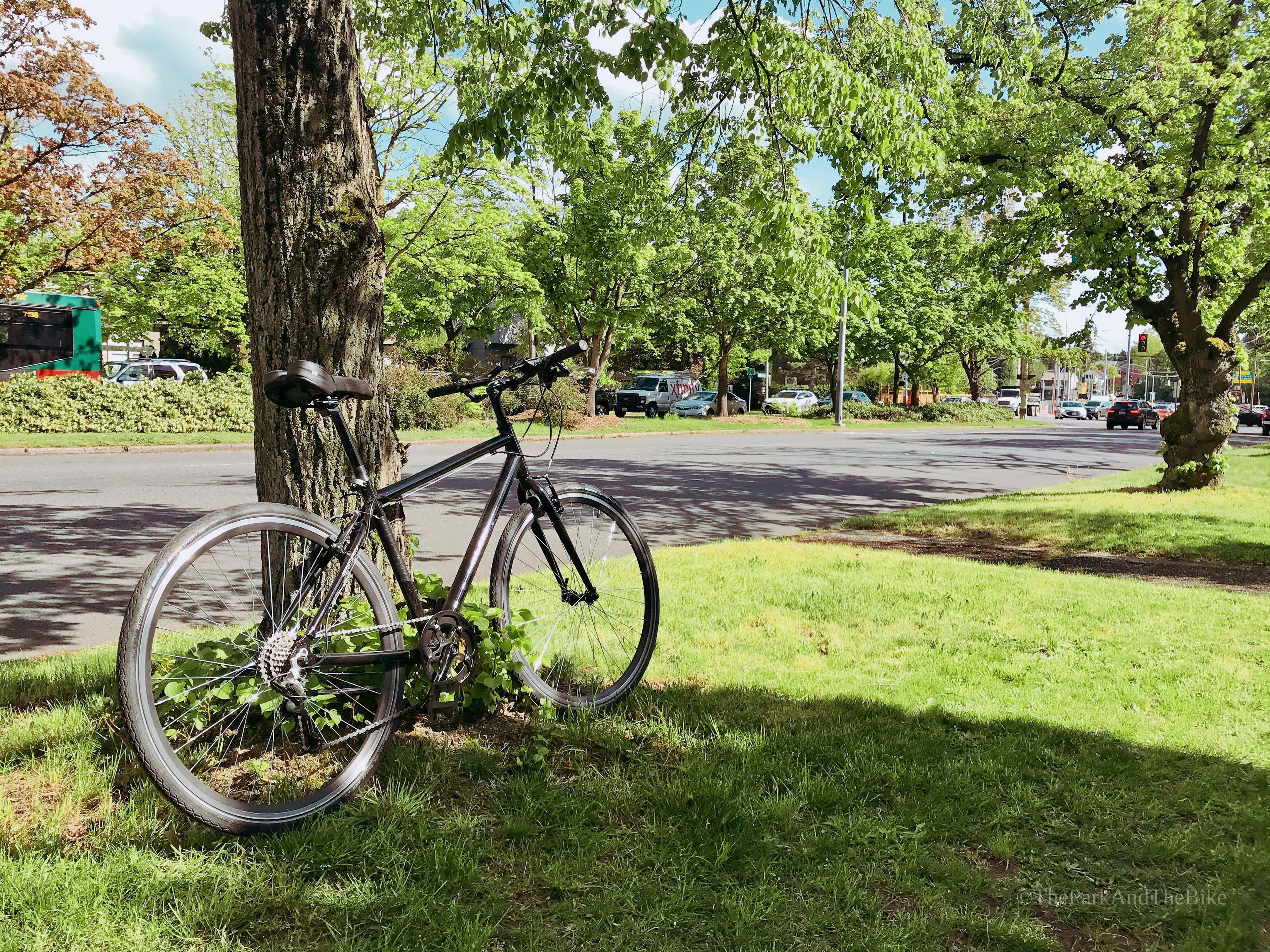 Montlake Boulevard