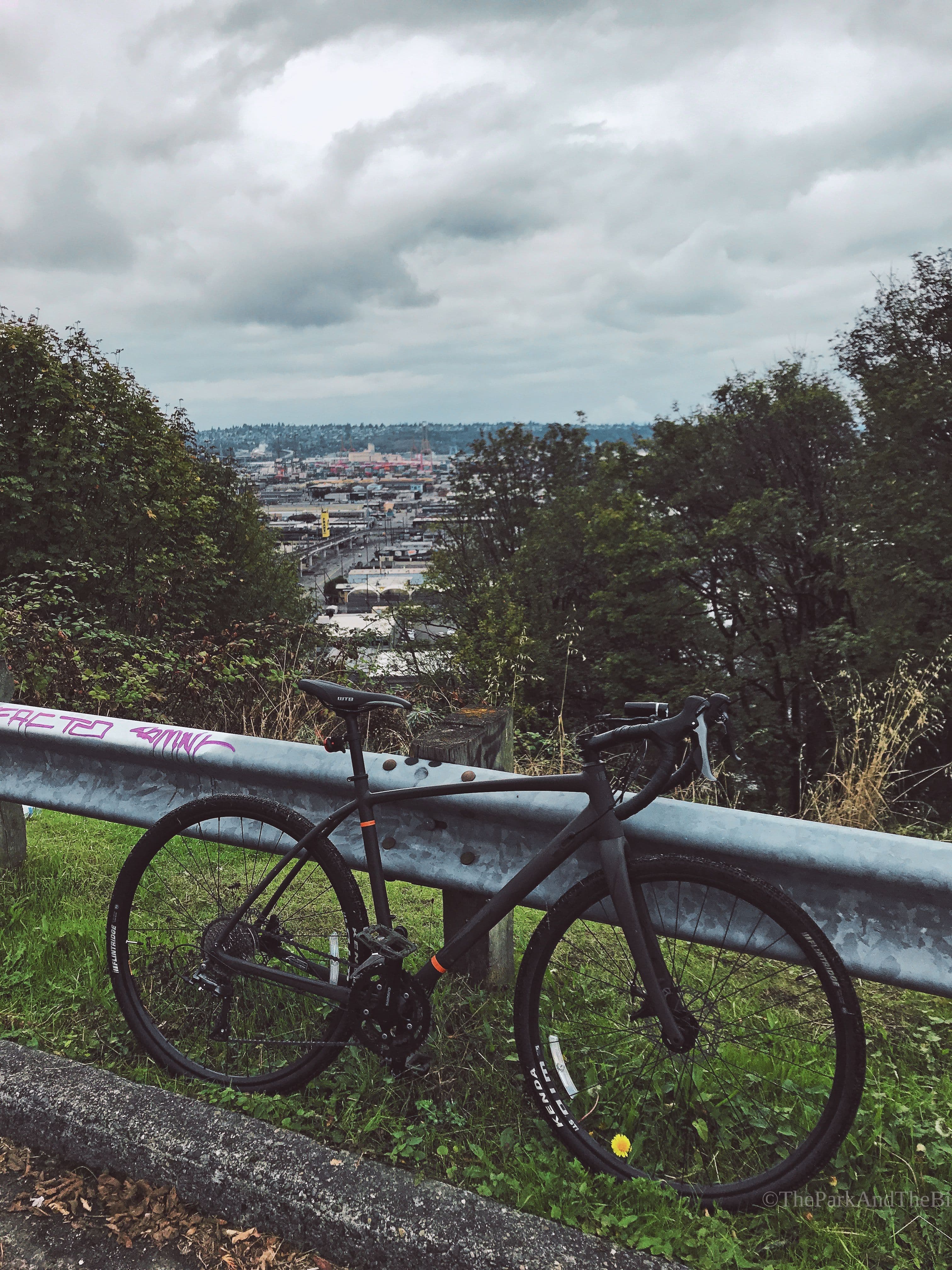 12th Ave S Viewpoint