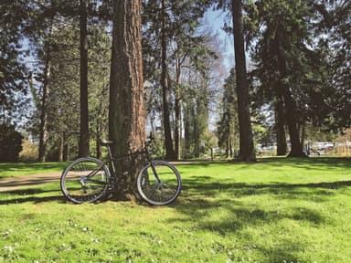 Beer Sheva Park