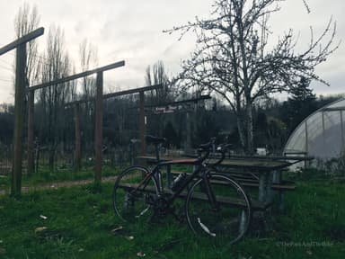Marra-Desimone Park